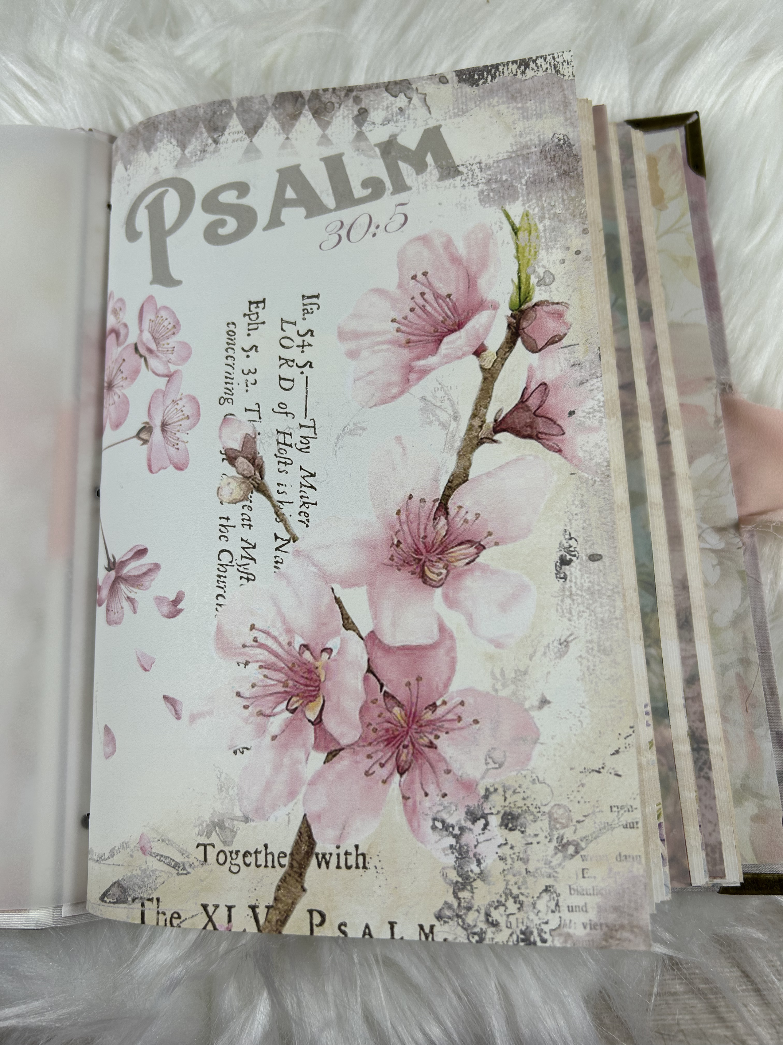 God’s Word” – A Christian Prayer Journal