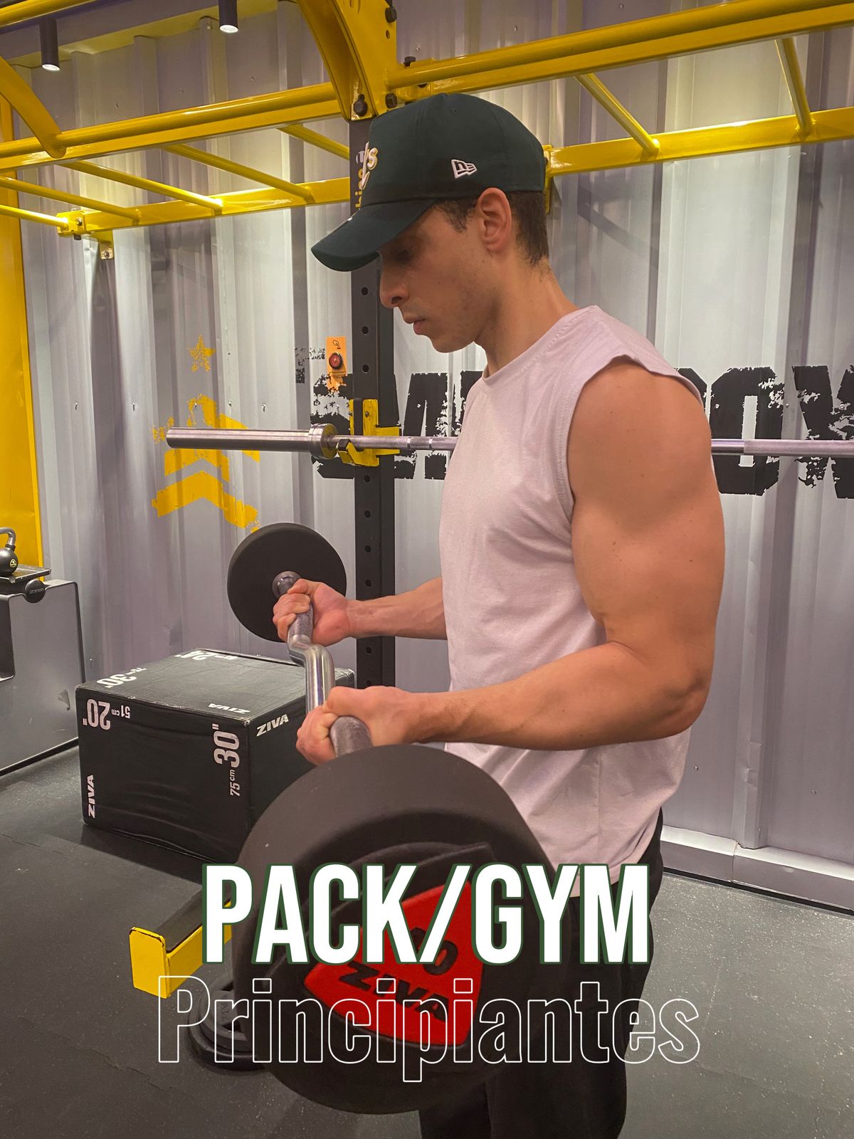Pack 3 Rutinas Principiantes / Gym