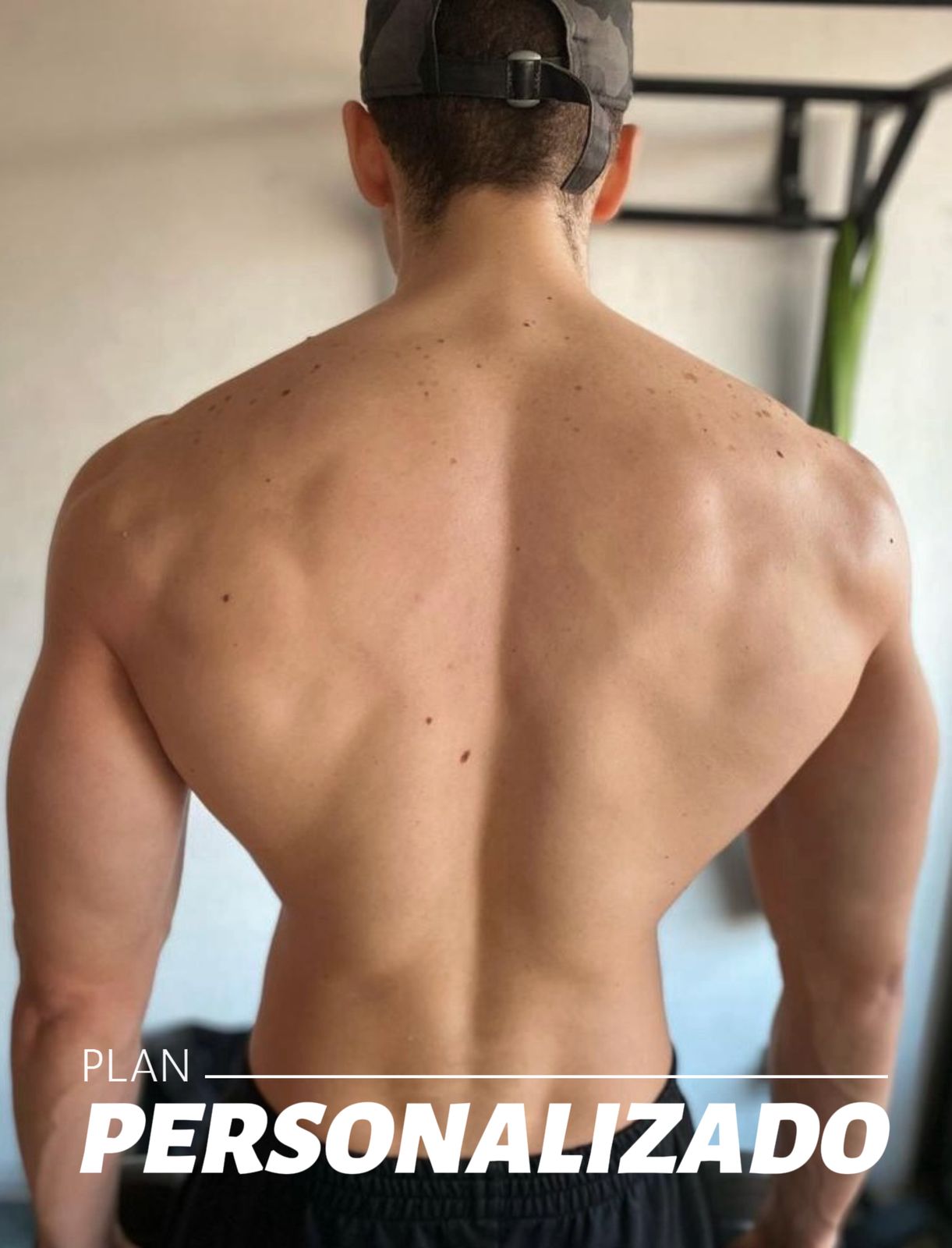 Plan Personalizado