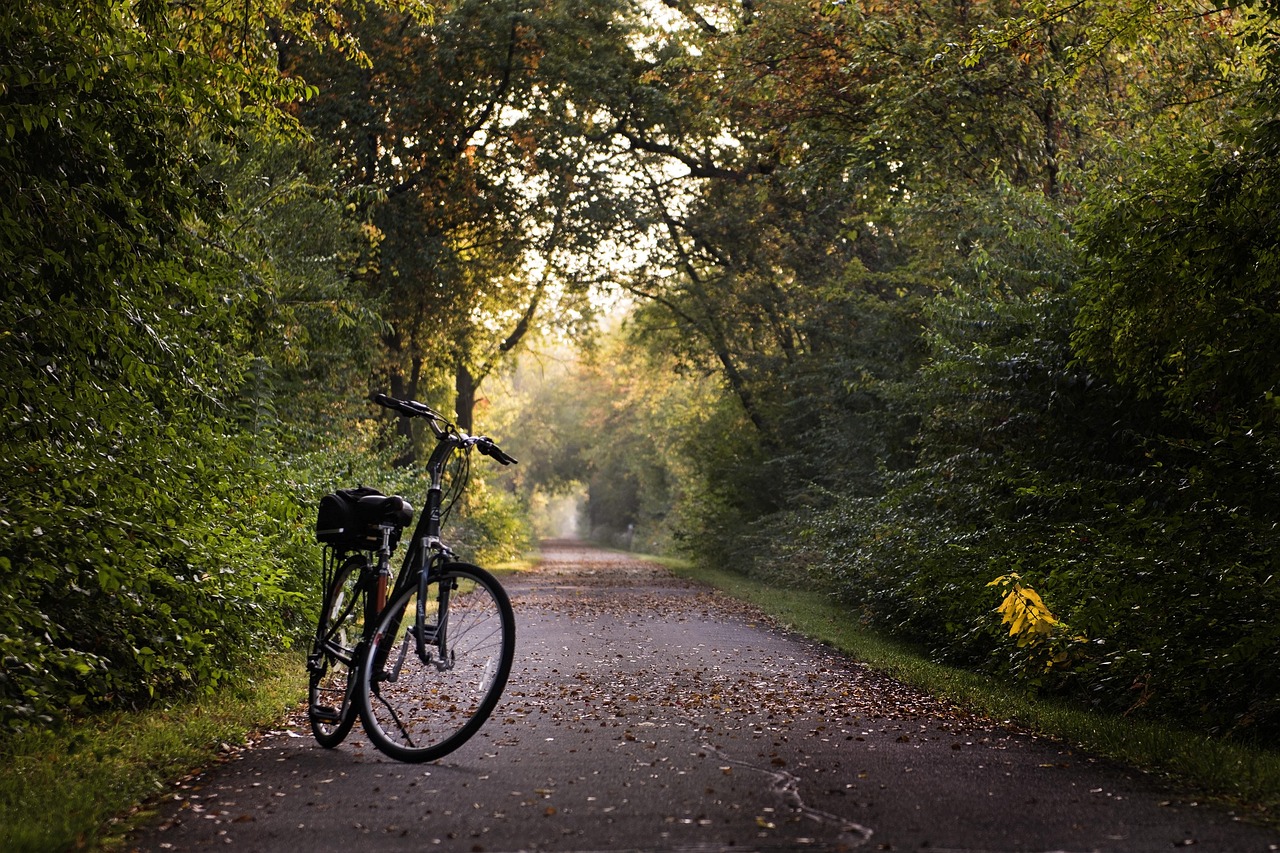 Sortie vélo guidée
