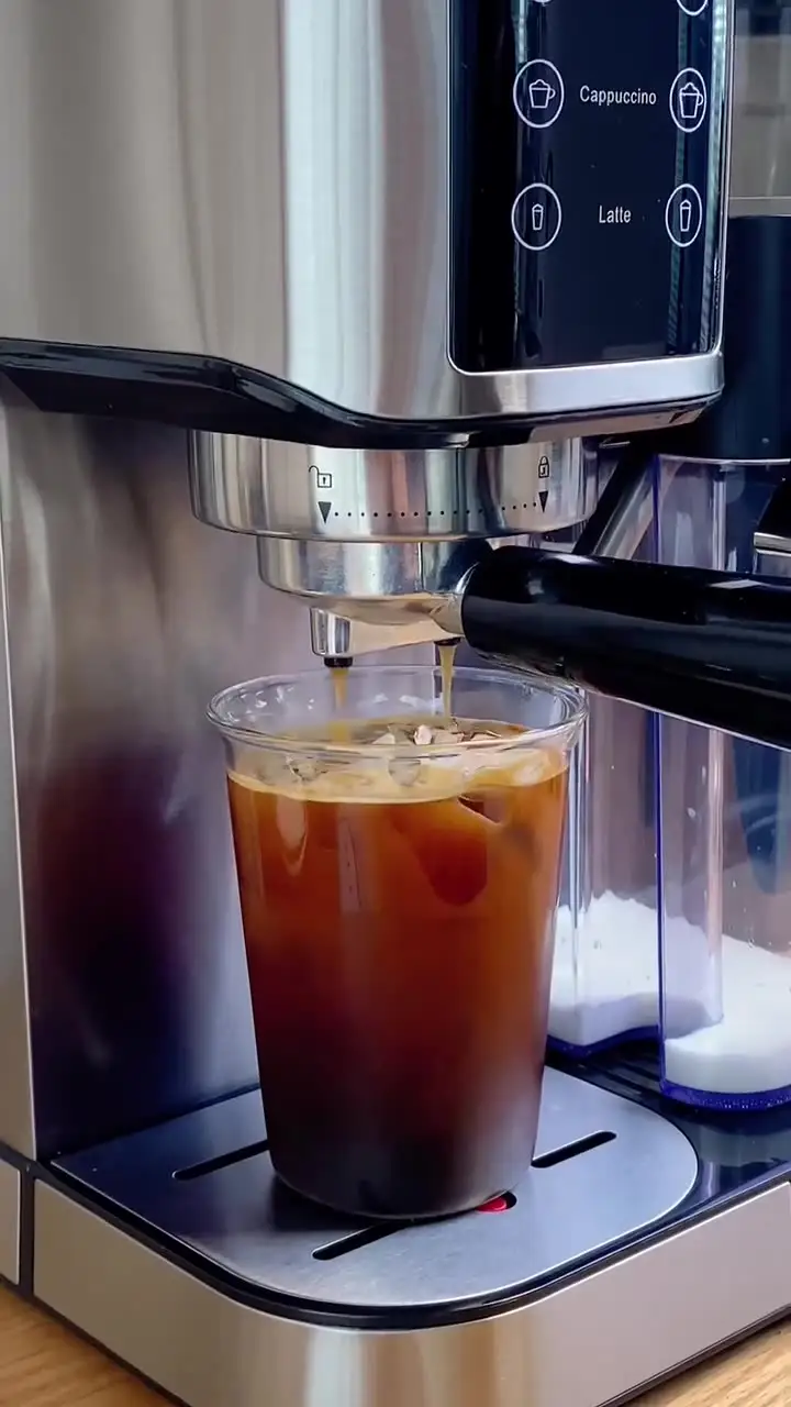 Cappuccino Stainless Steel Espresso Machine for Home and Commercial Use