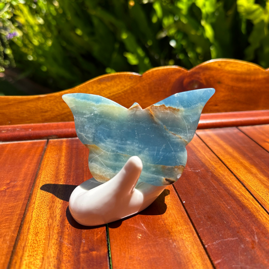 Blue Onyx Butterfly