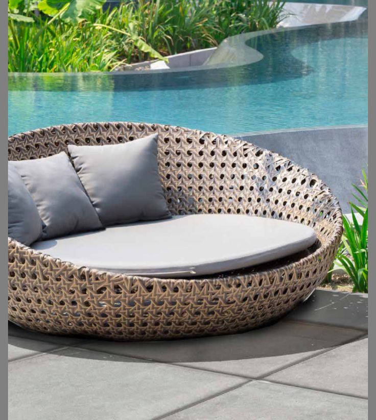 Chaise Coquille Ovale