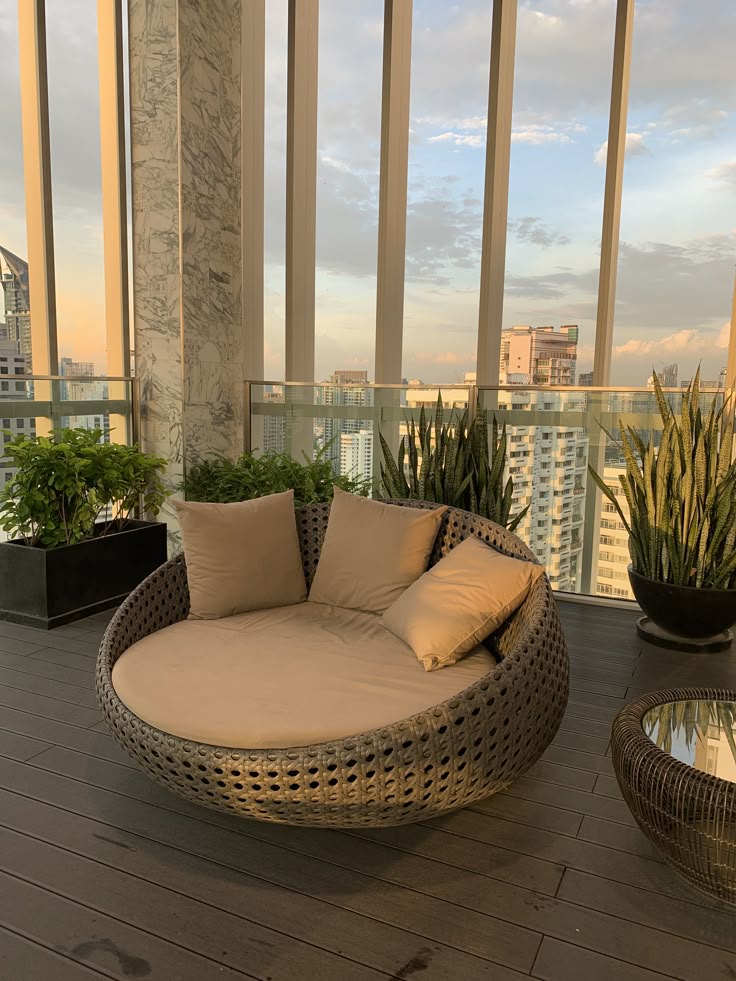 Chaise Coquille Ovale