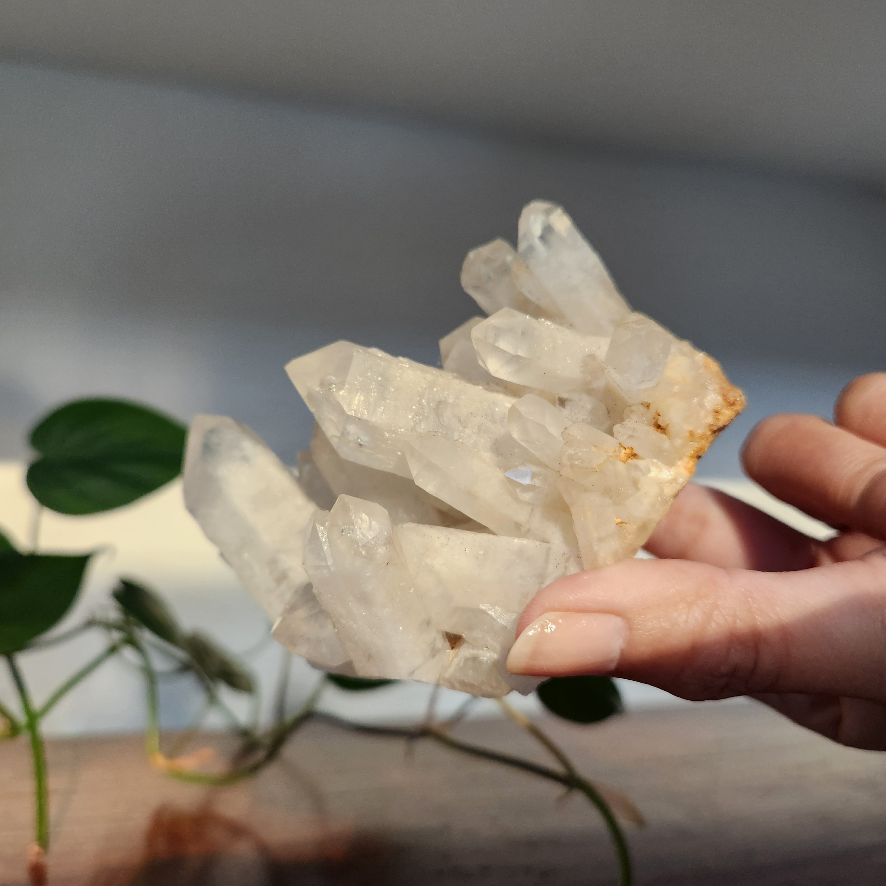 Quartz cluster specimen • Clear quartz cluster mineral •Quartz mineral cluster 