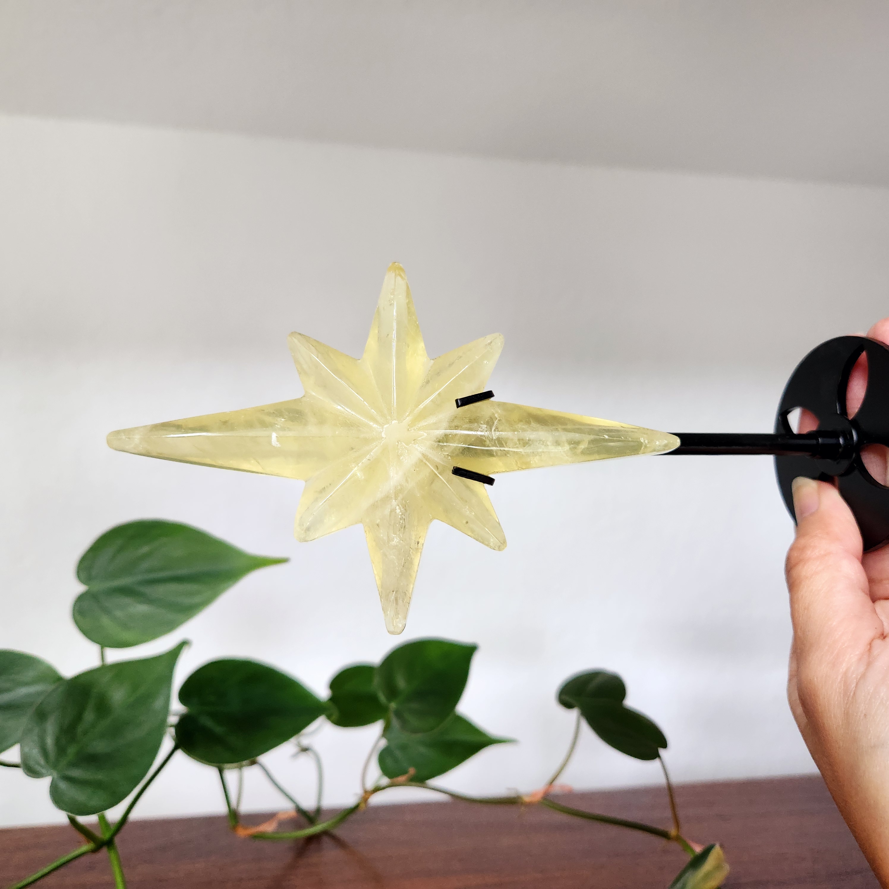 Citrine Polaris Star on stand • Natural Citrine Polaris star • Crystal Starburst