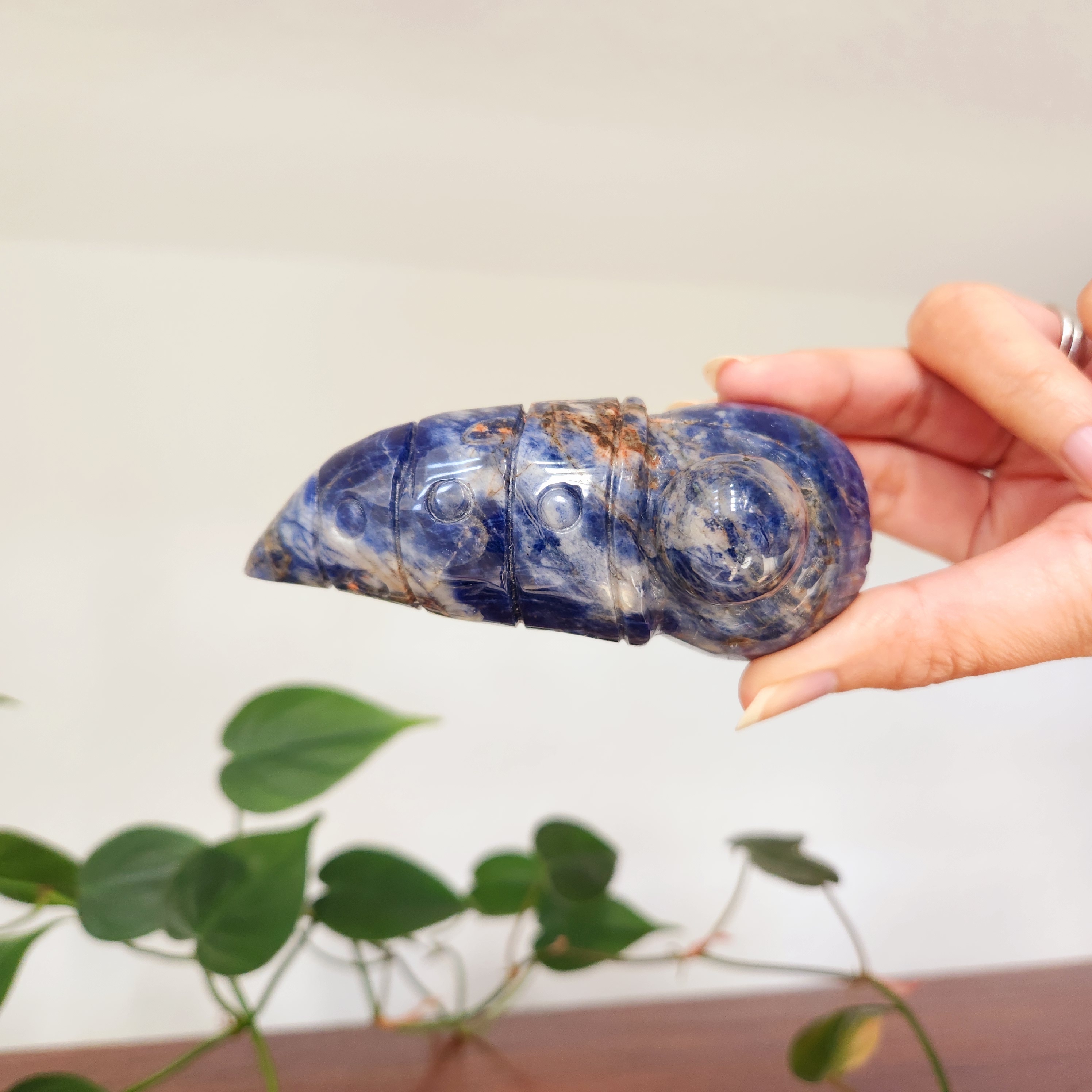Sodalite Gnome