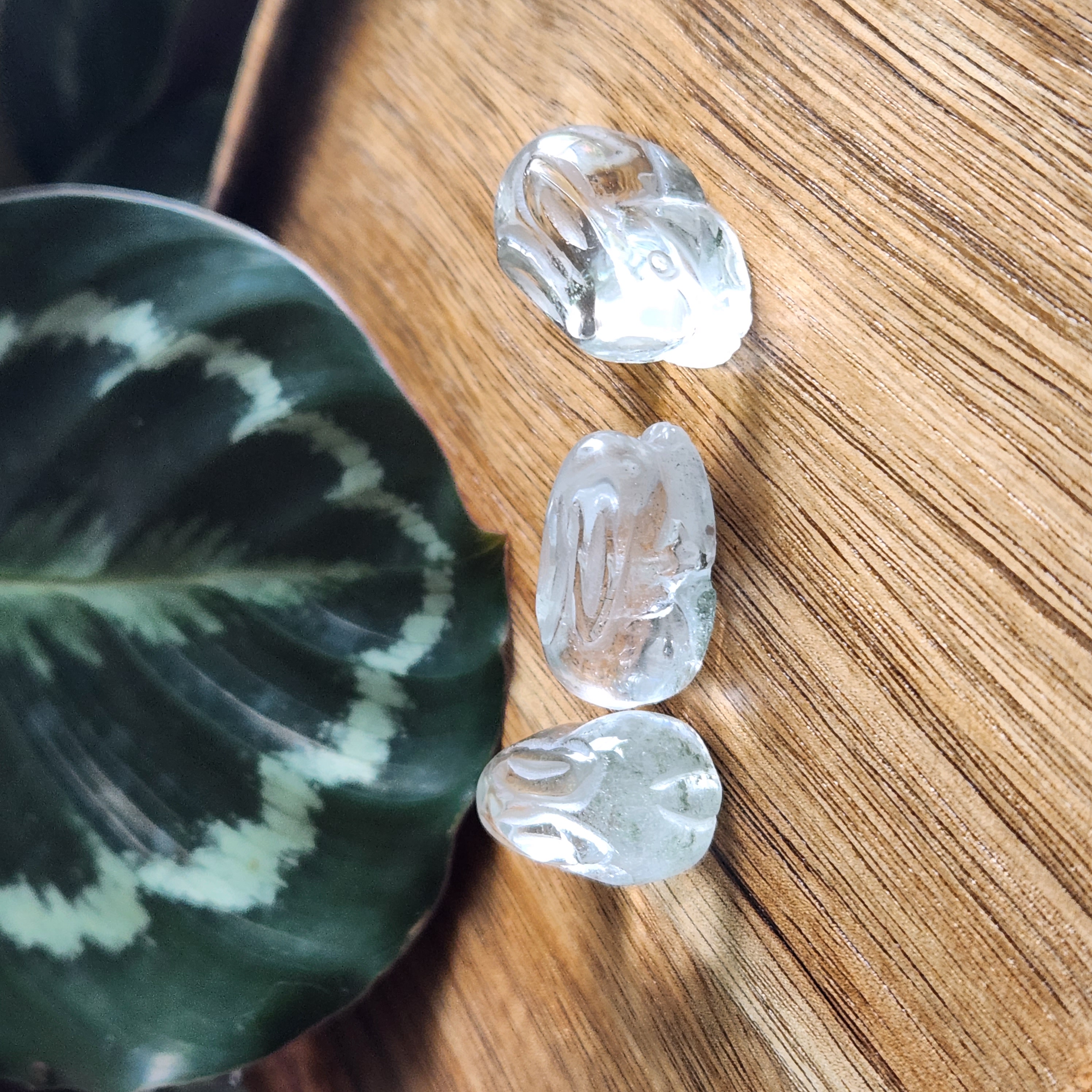 Phantom Quartz Bunny Rabbit • Green Ghost Phantom Bunny Rabbit