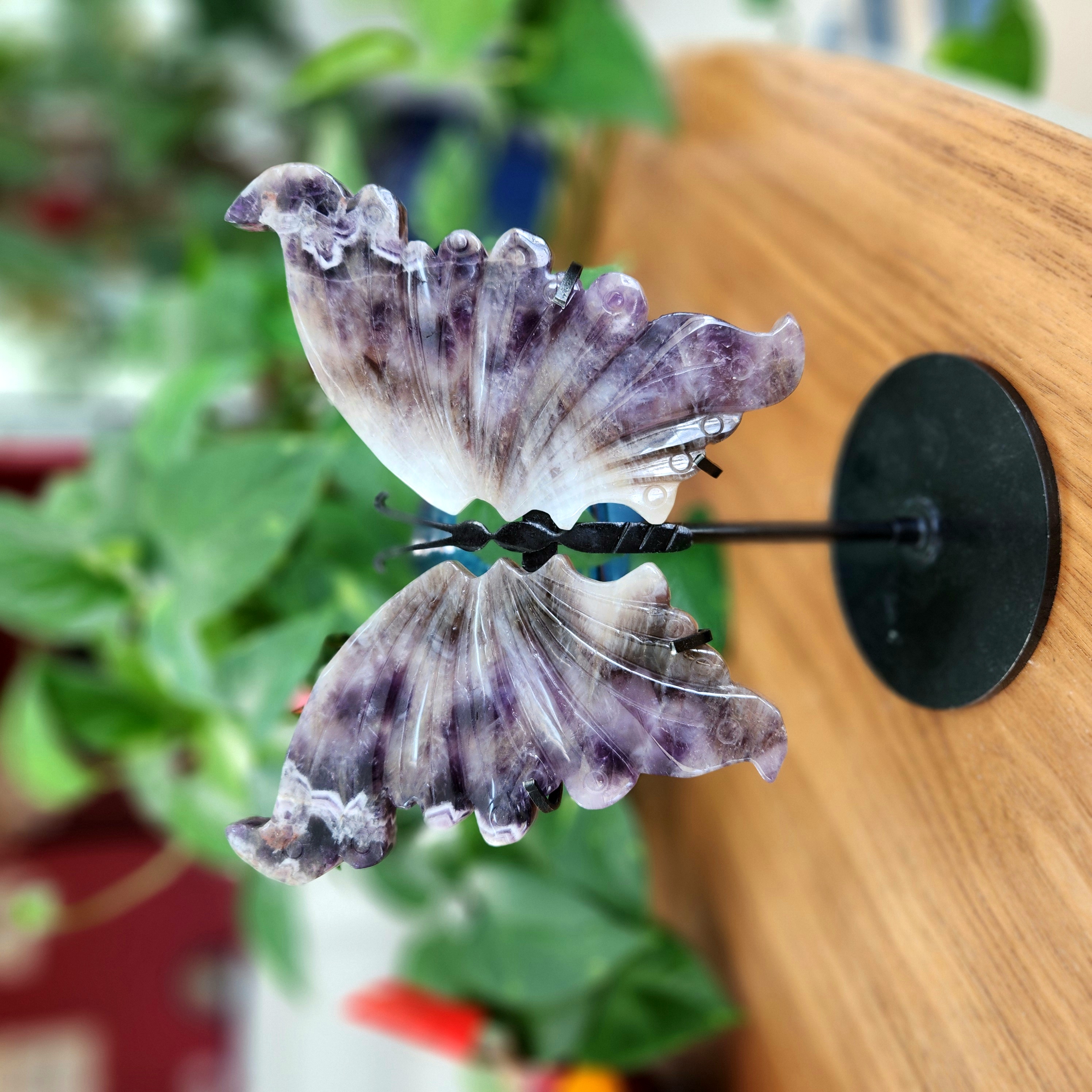 Amethyst Butterfly Wings, 7.3" Chevron Dream Amethyst Wings