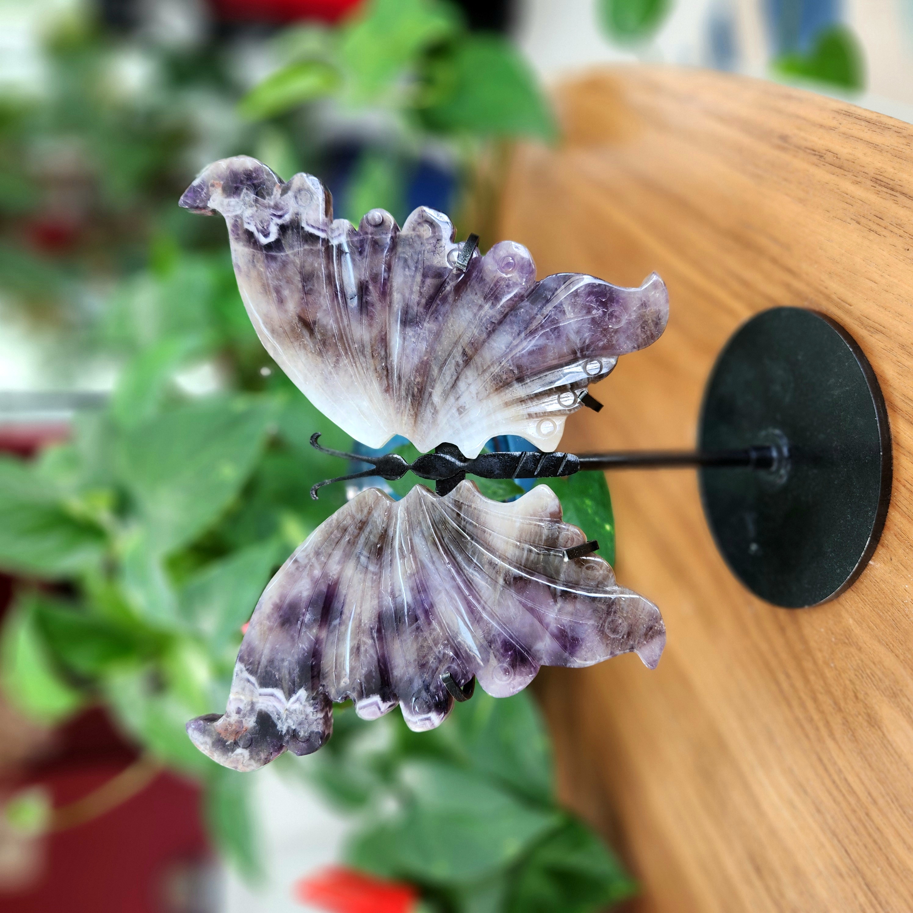 Amethyst Butterfly Wings, 7.3" Chevron Dream Amethyst Wings