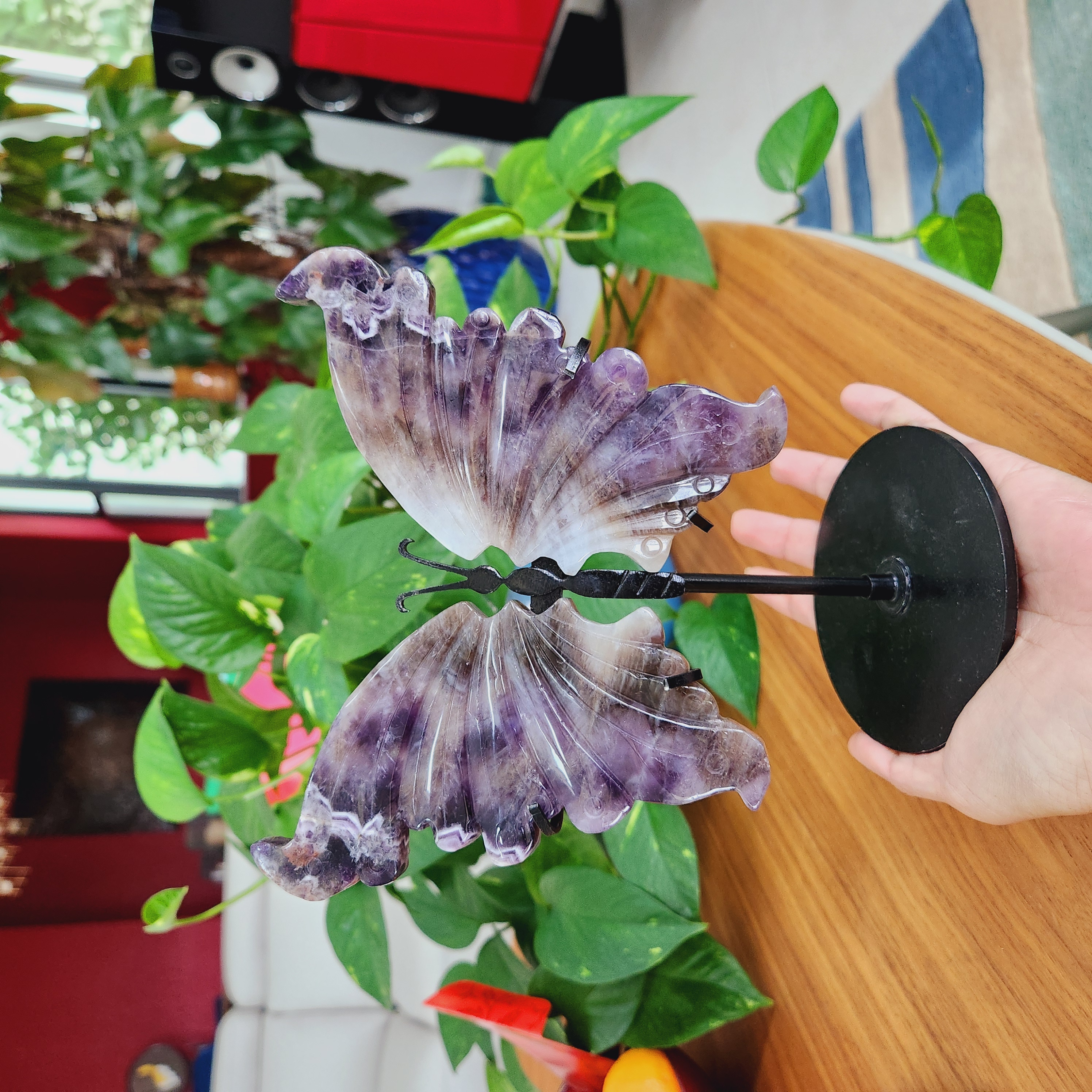 Amethyst Butterfly Wings, 7.3" Chevron Dream Amethyst Wings