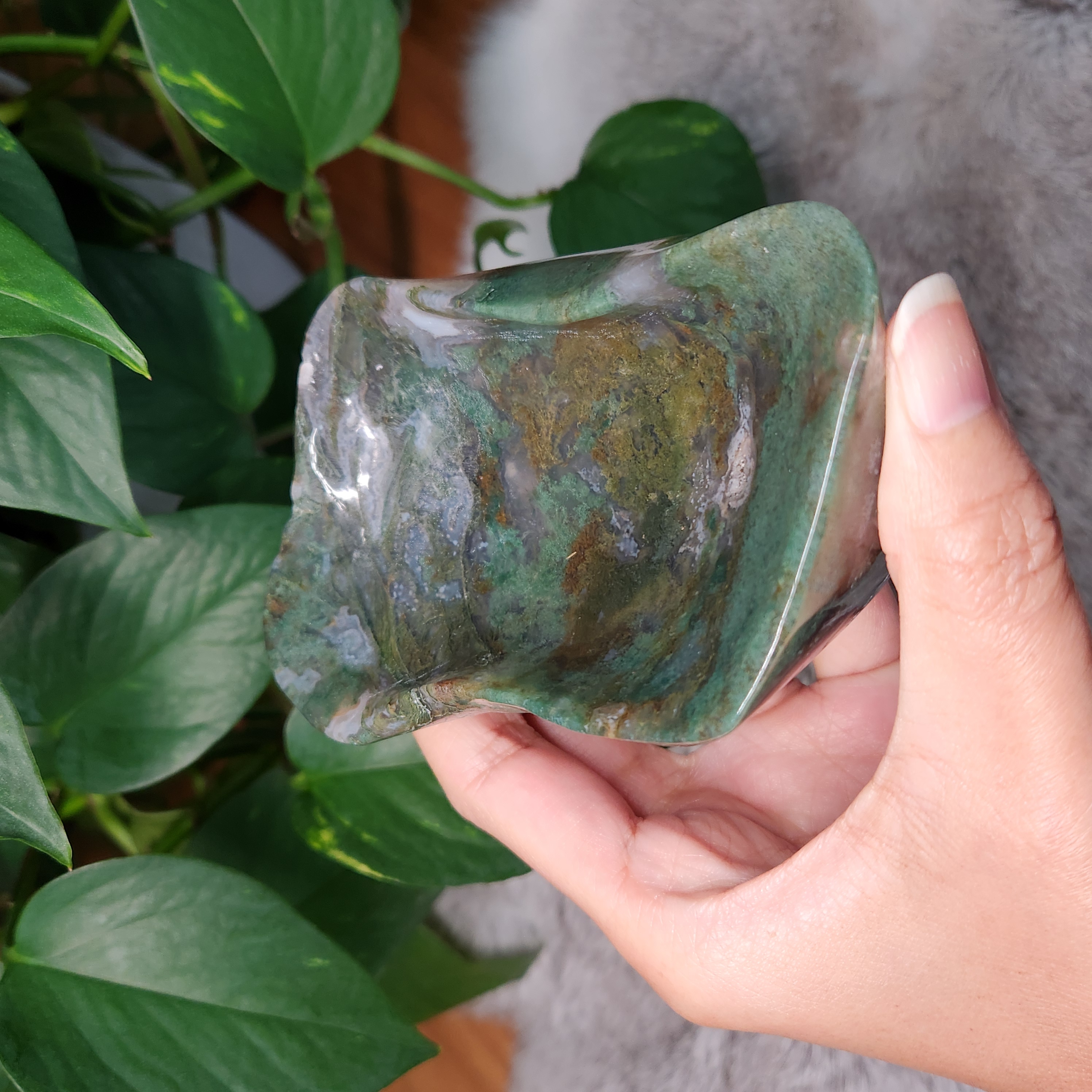 Moss Agate Bowl • 4" Crystal Moss Agate Freeform Bowl 