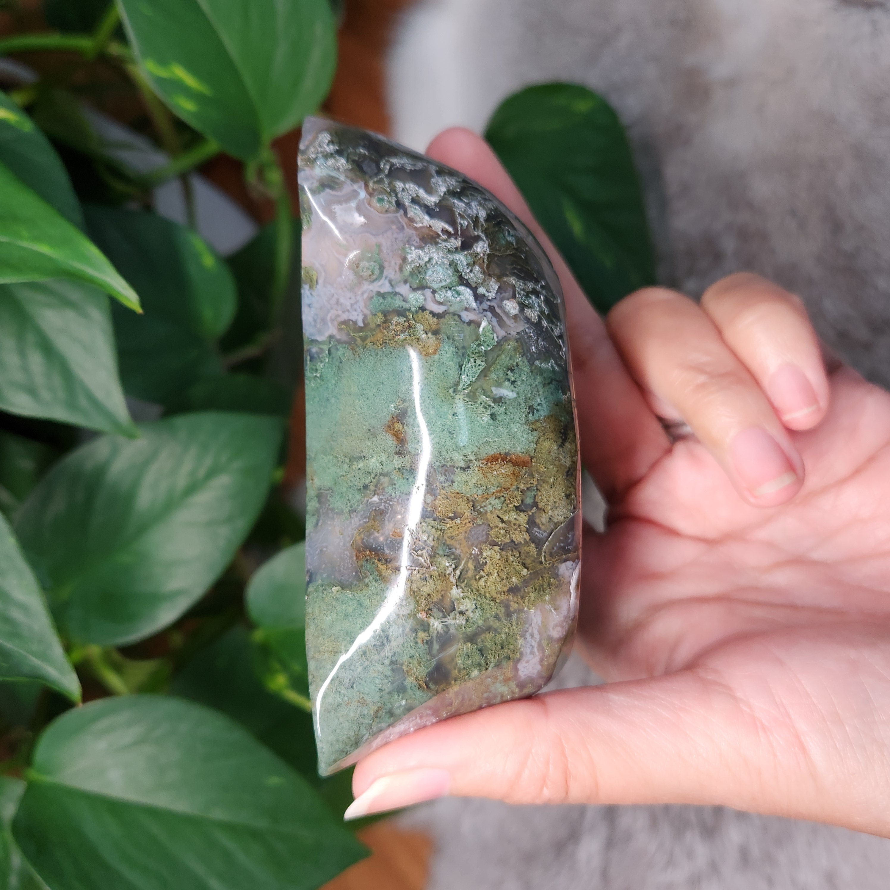 Moss Agate Bowl • 4" Crystal Moss Agate Freeform Bowl 
