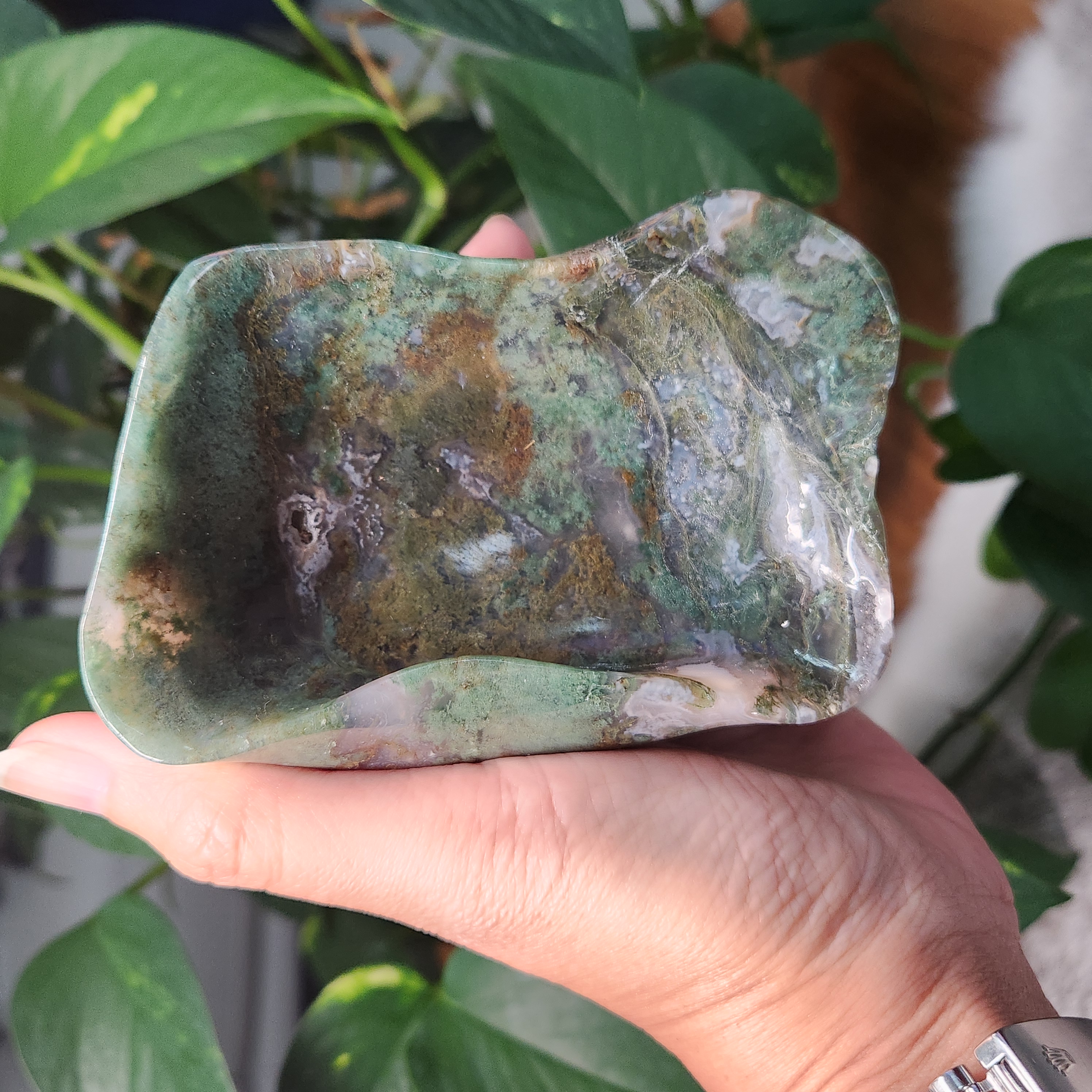 Moss Agate Bowl • 4" Crystal Moss Agate Freeform Bowl 