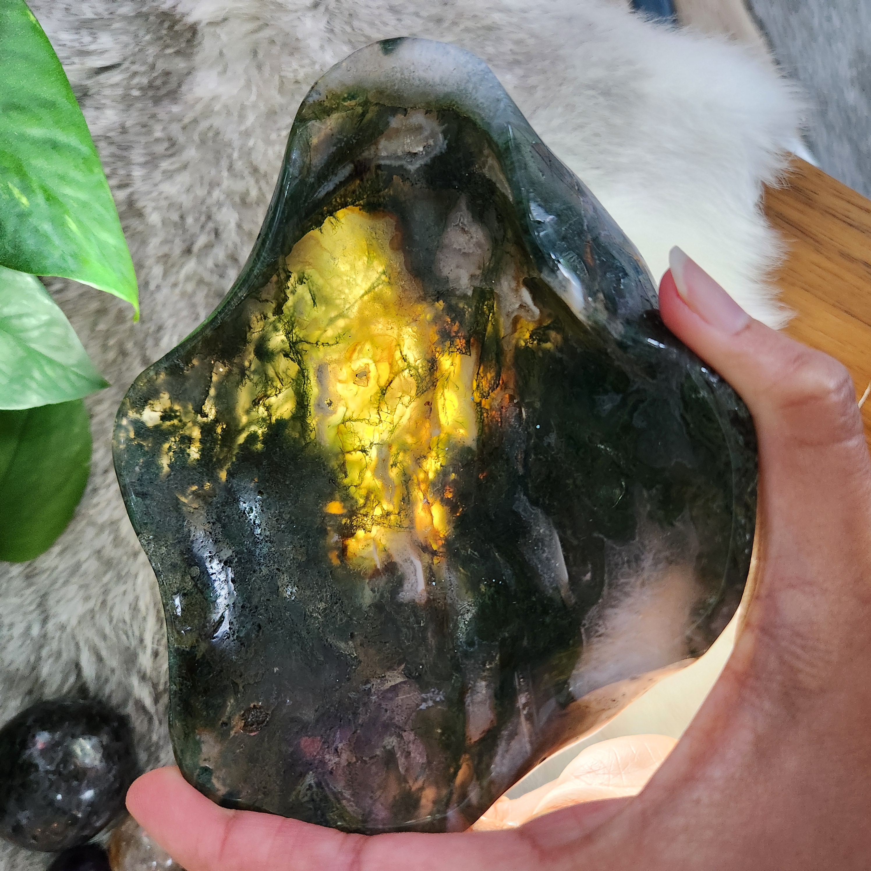 Moss Agate Bowl • 5.6" Crystal Moss Agate Freeform Bowl 