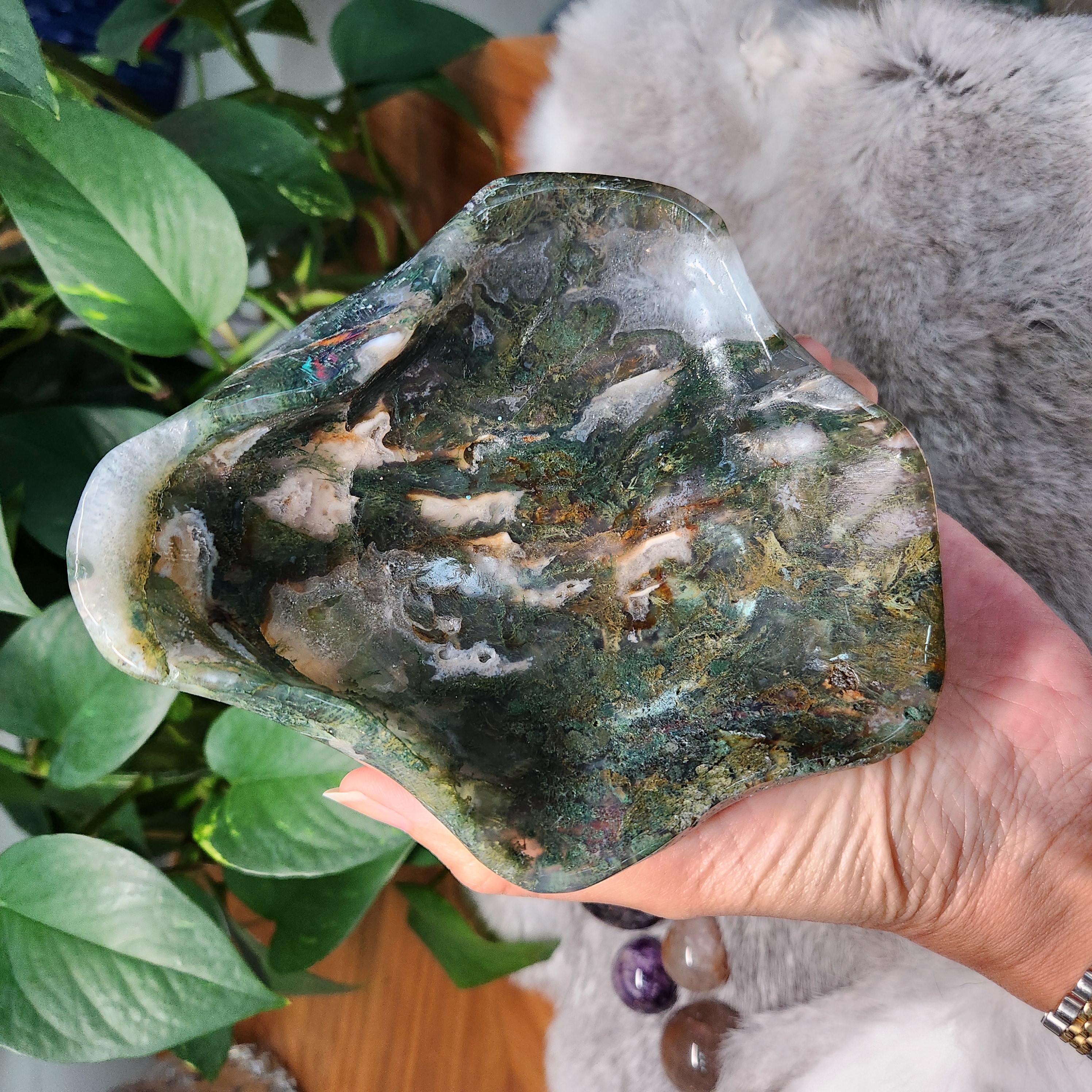 Moss Agate Bowl • 5.6" Crystal Moss Agate Freeform Bowl 