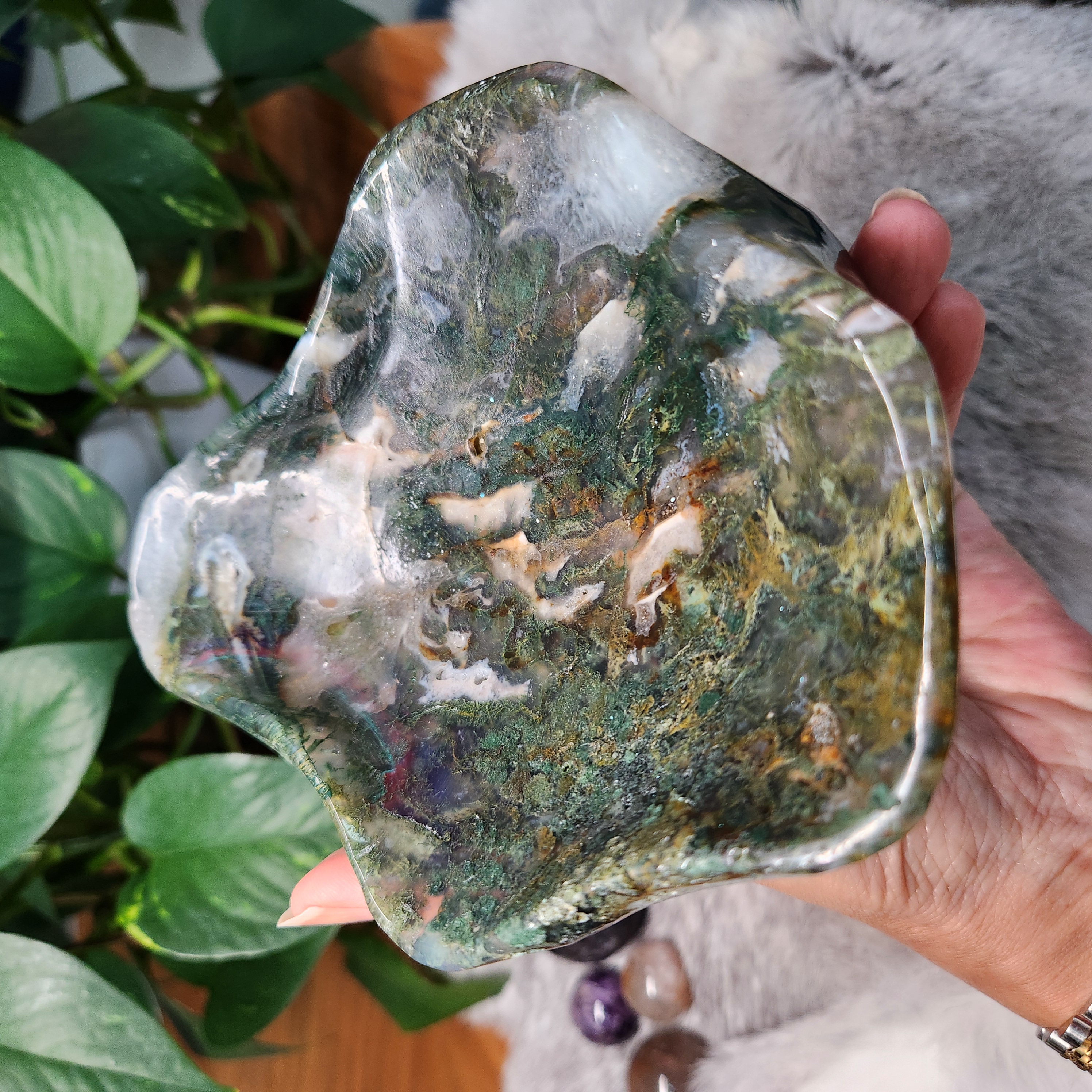 Moss Agate Bowl • 5.6" Crystal Moss Agate Freeform Bowl 