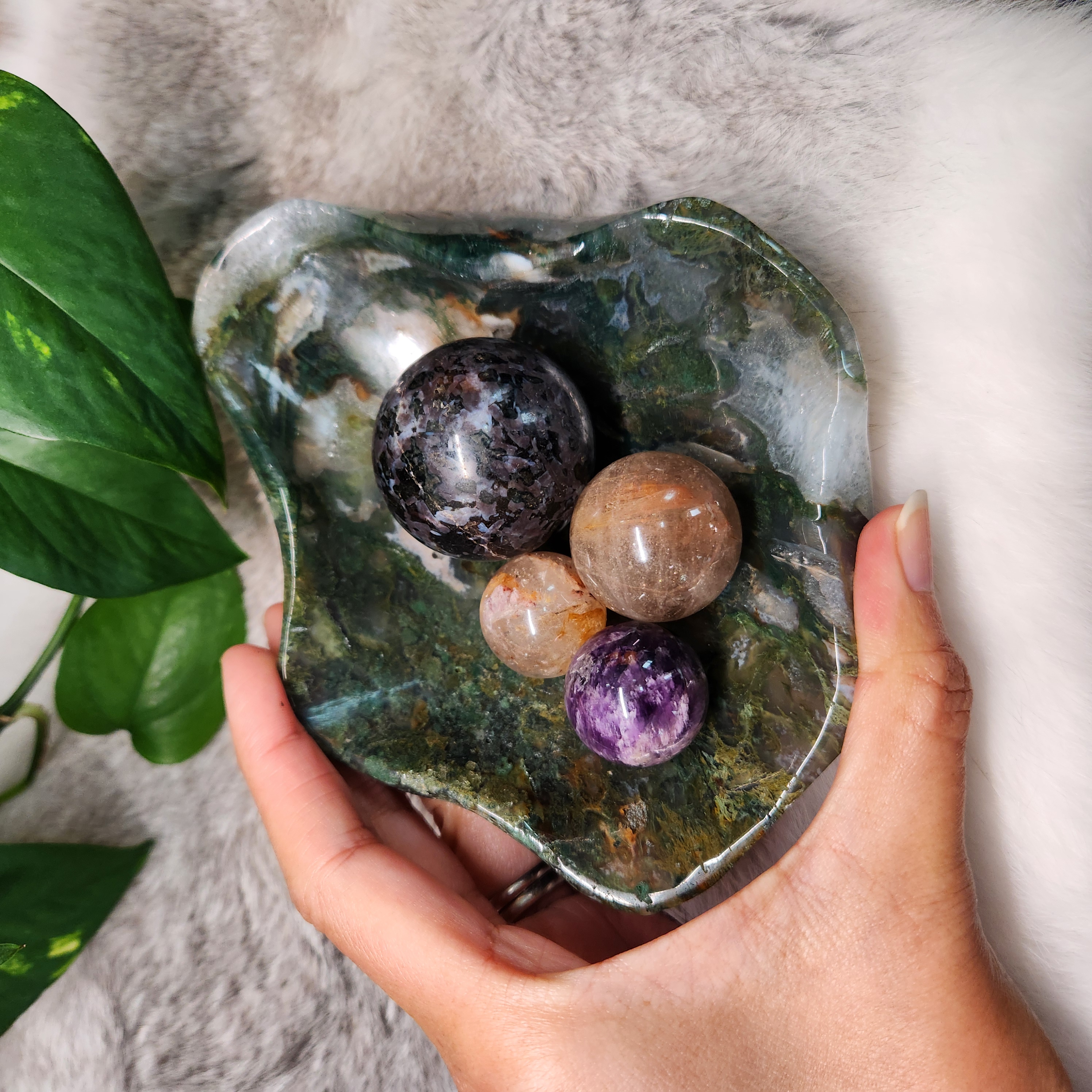 Moss Agate Bowl • 5.6" Crystal Moss Agate Freeform Bowl 