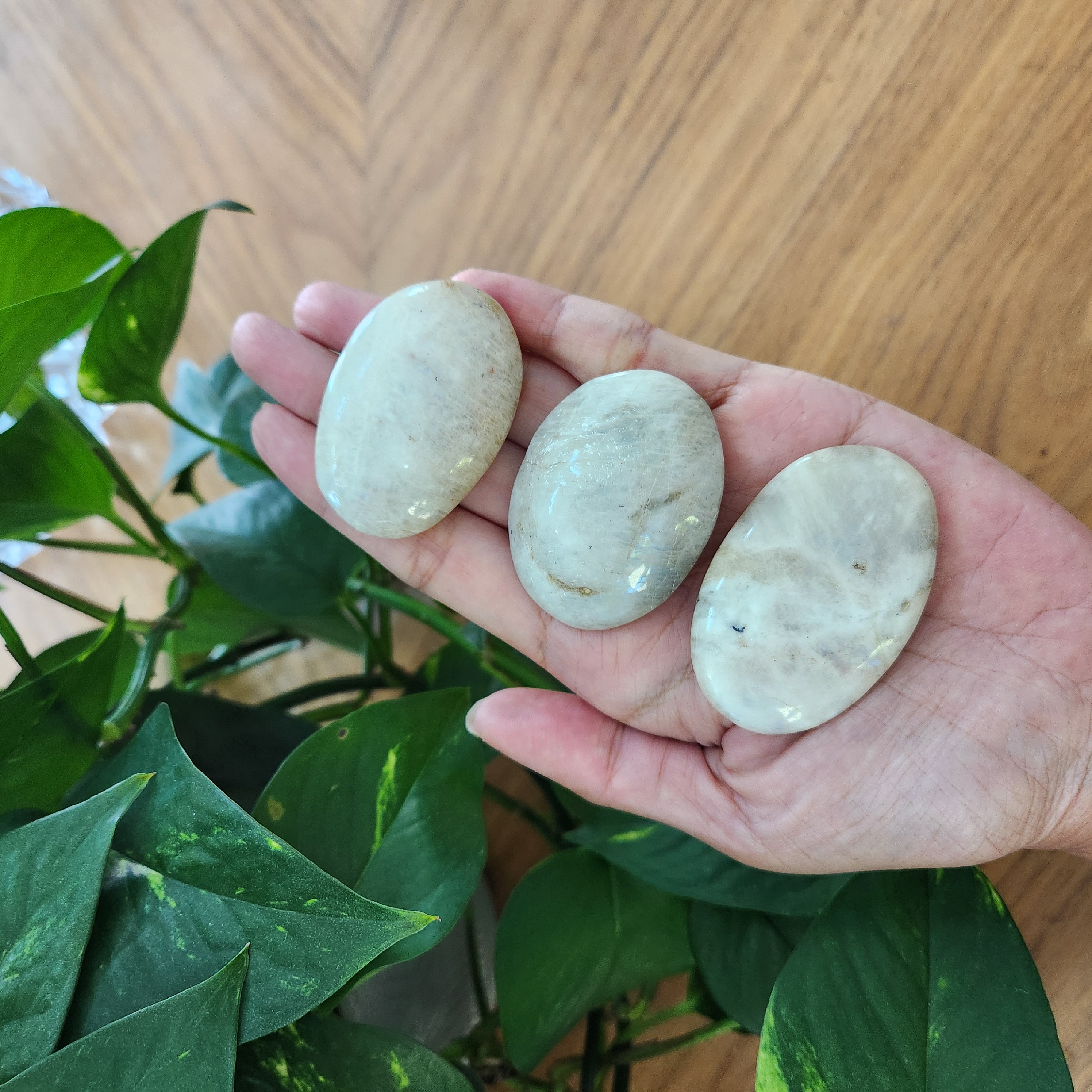 Moonstone Palm Stone, White Moonstone Palmstone, Flashy oval crystal palmstone