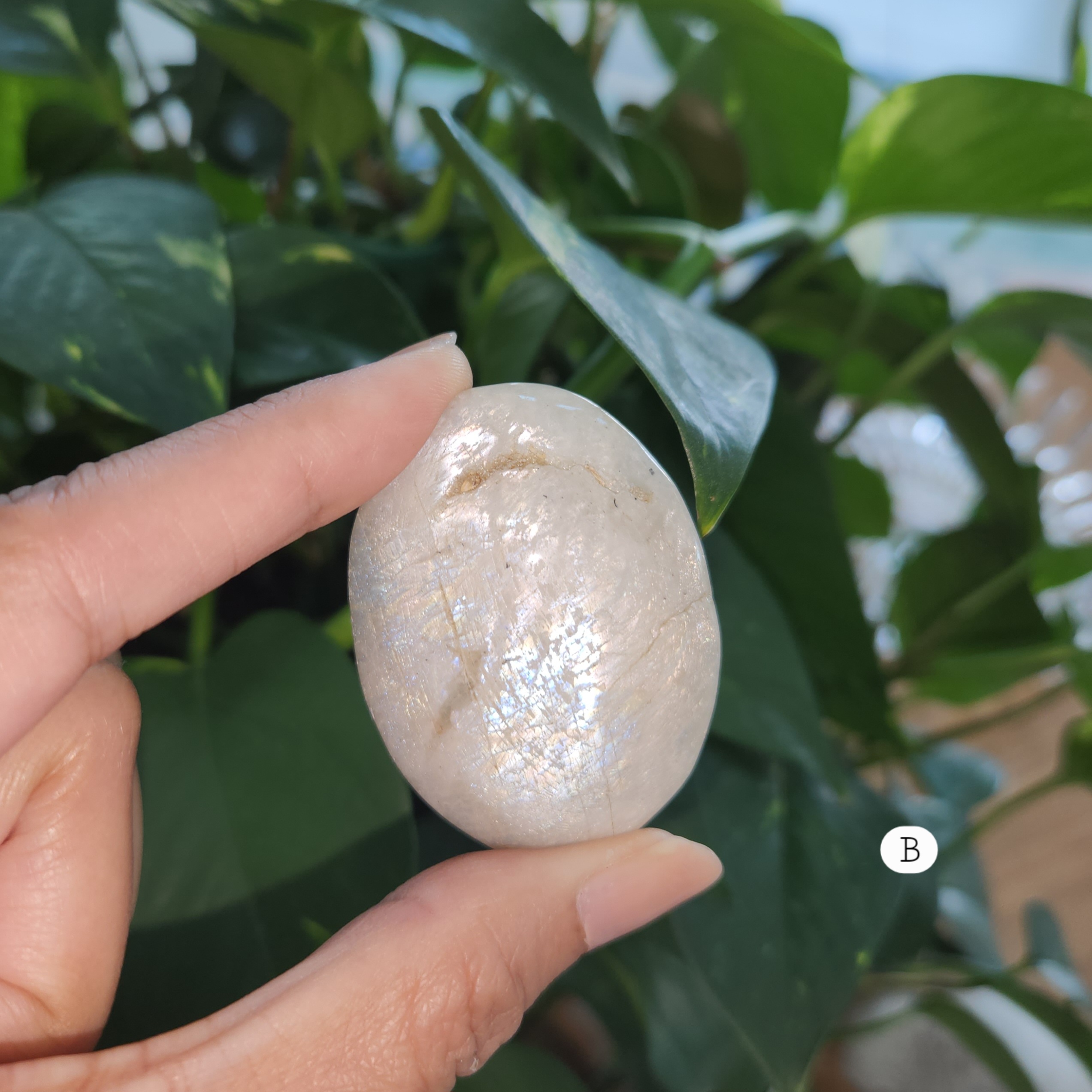 Moonstone Palm Stone, White Moonstone Palmstone, Flashy oval crystal palmstone