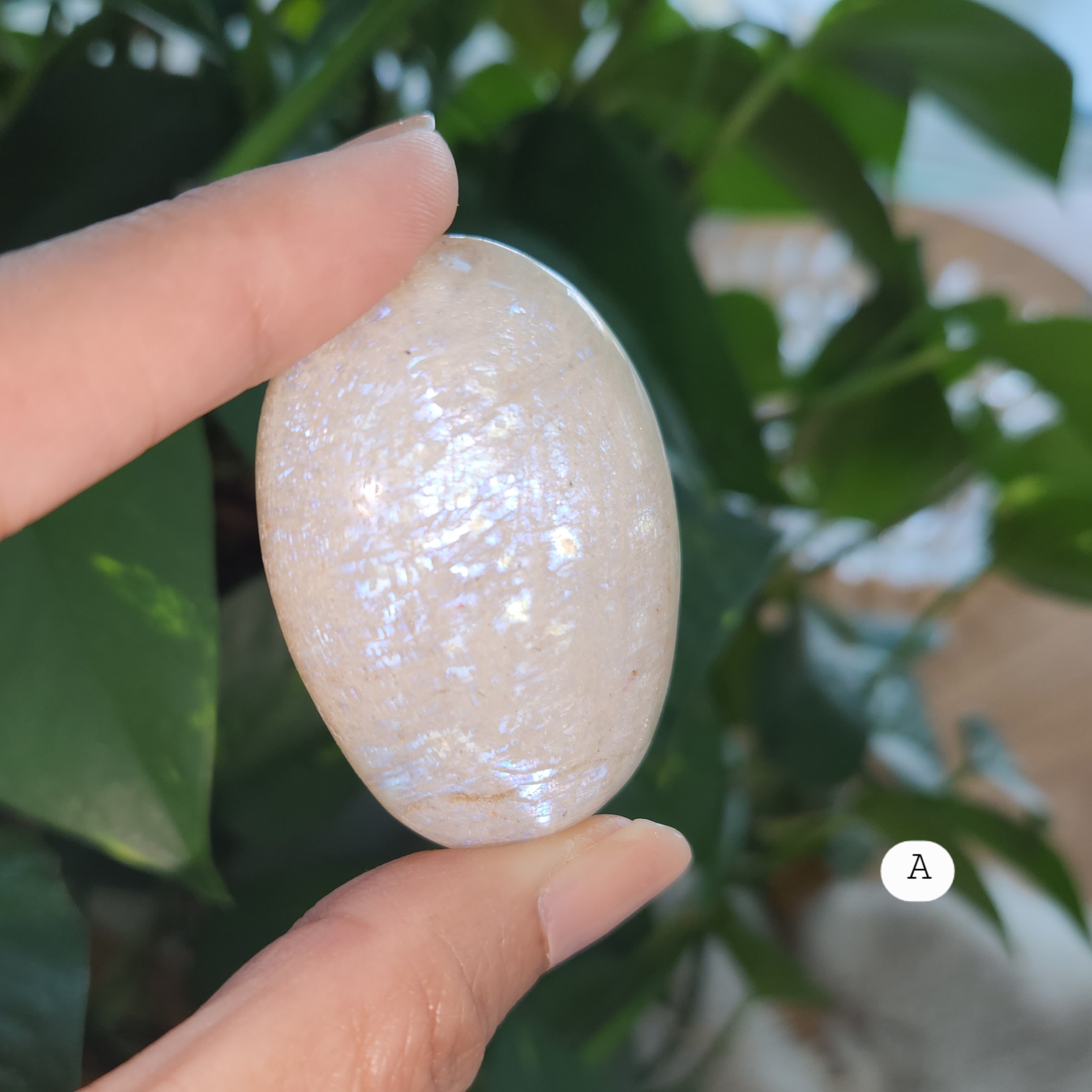 Moonstone Palm Stone, White Moonstone Palmstone, Flashy oval crystal palmstone