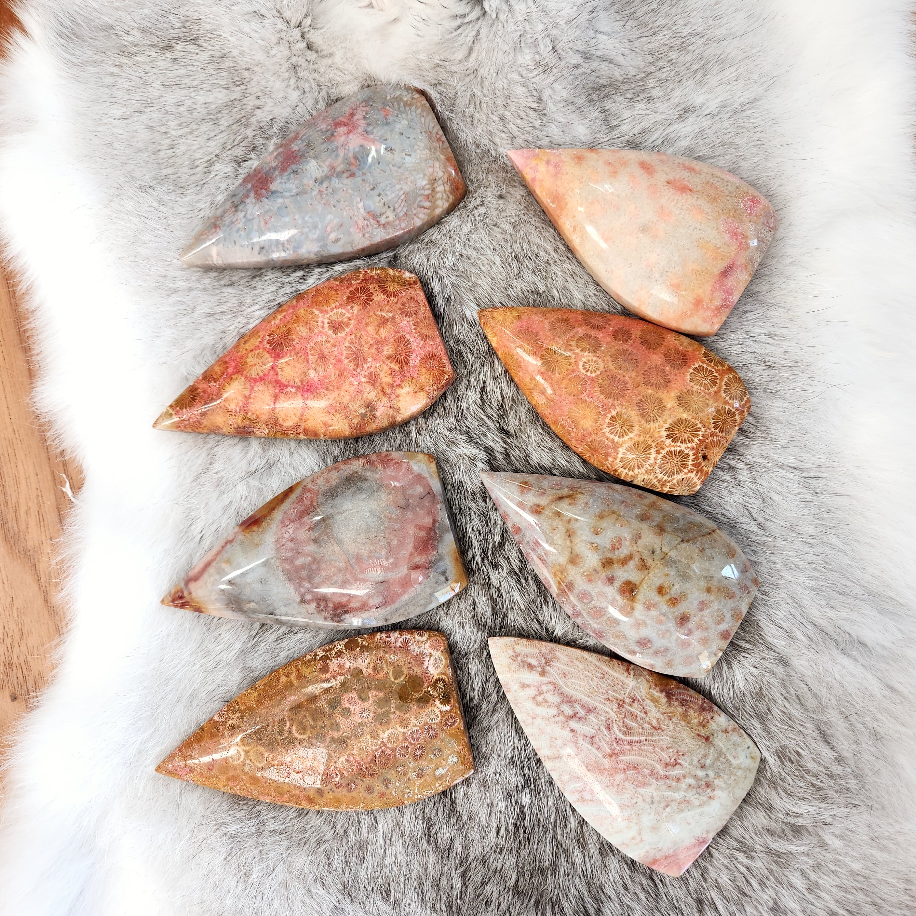 Coral Jade Flame • Fossilized Coral Jade Freeform Flame • Coralized Jade Flame 