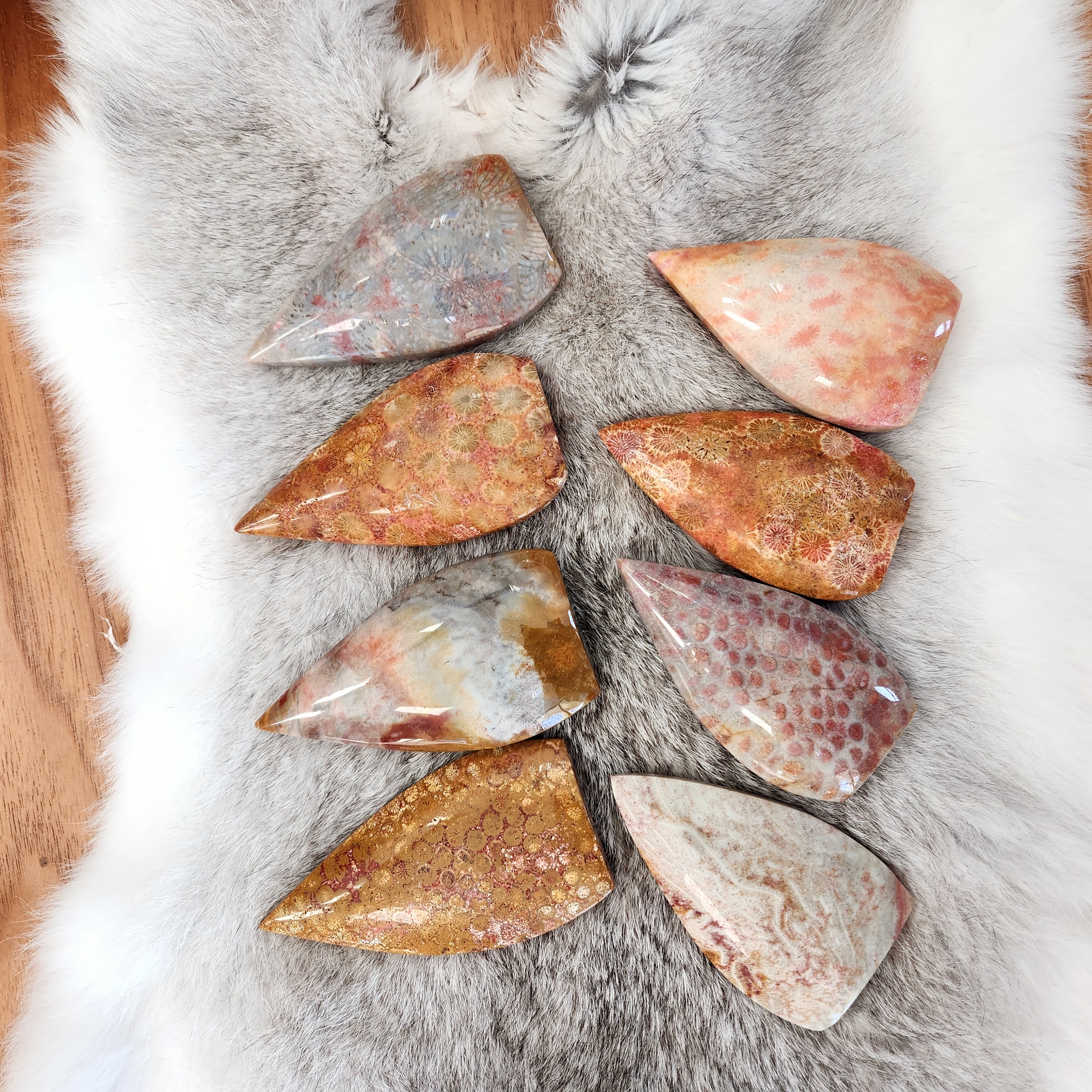 Coral Jade Flame • Fossilized Coral Jade Freeform Flame • Coralized Jade Flame 