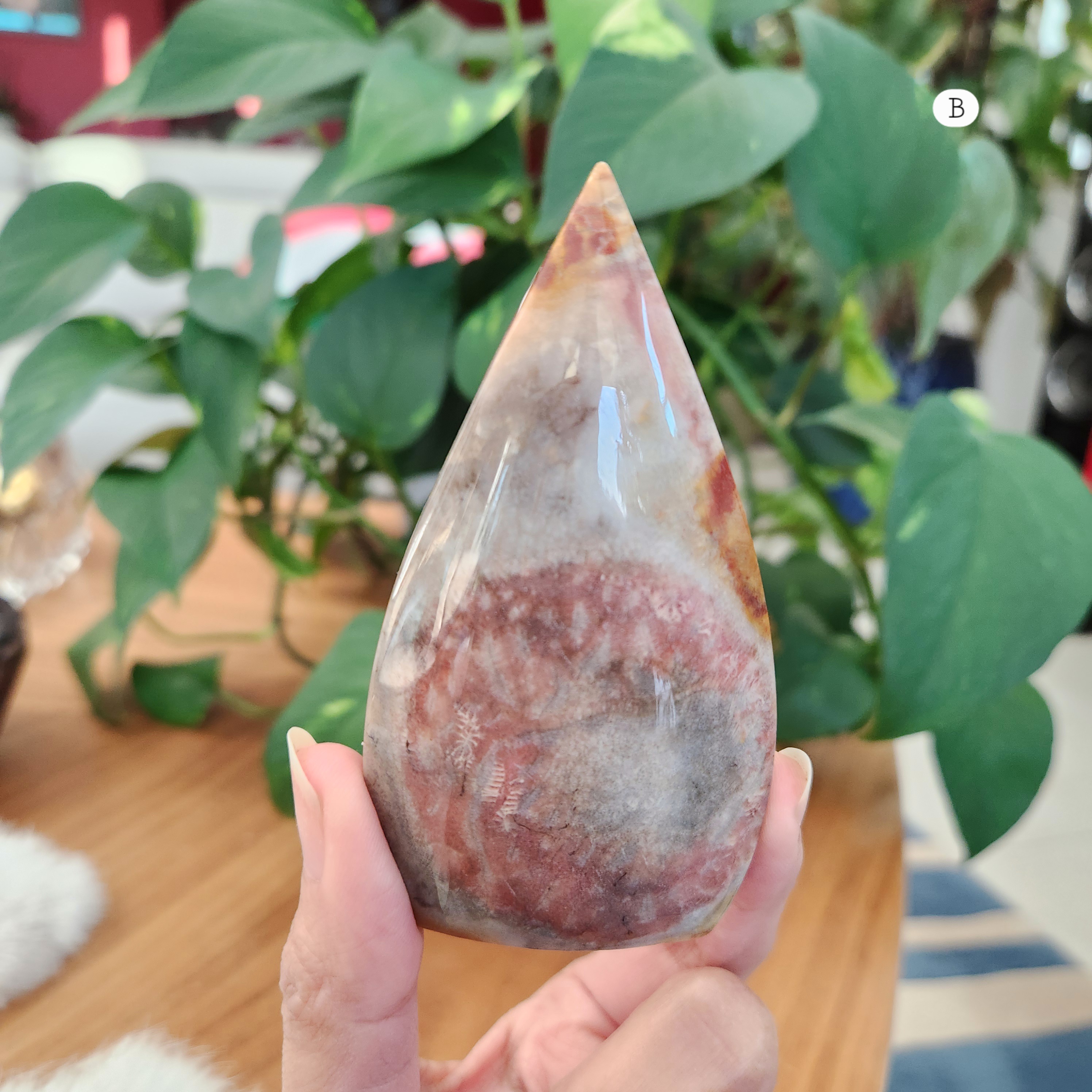 Coral Jade Flame • Fossilized Coral Jade Freeform Flame • Coralized Jade Flame 