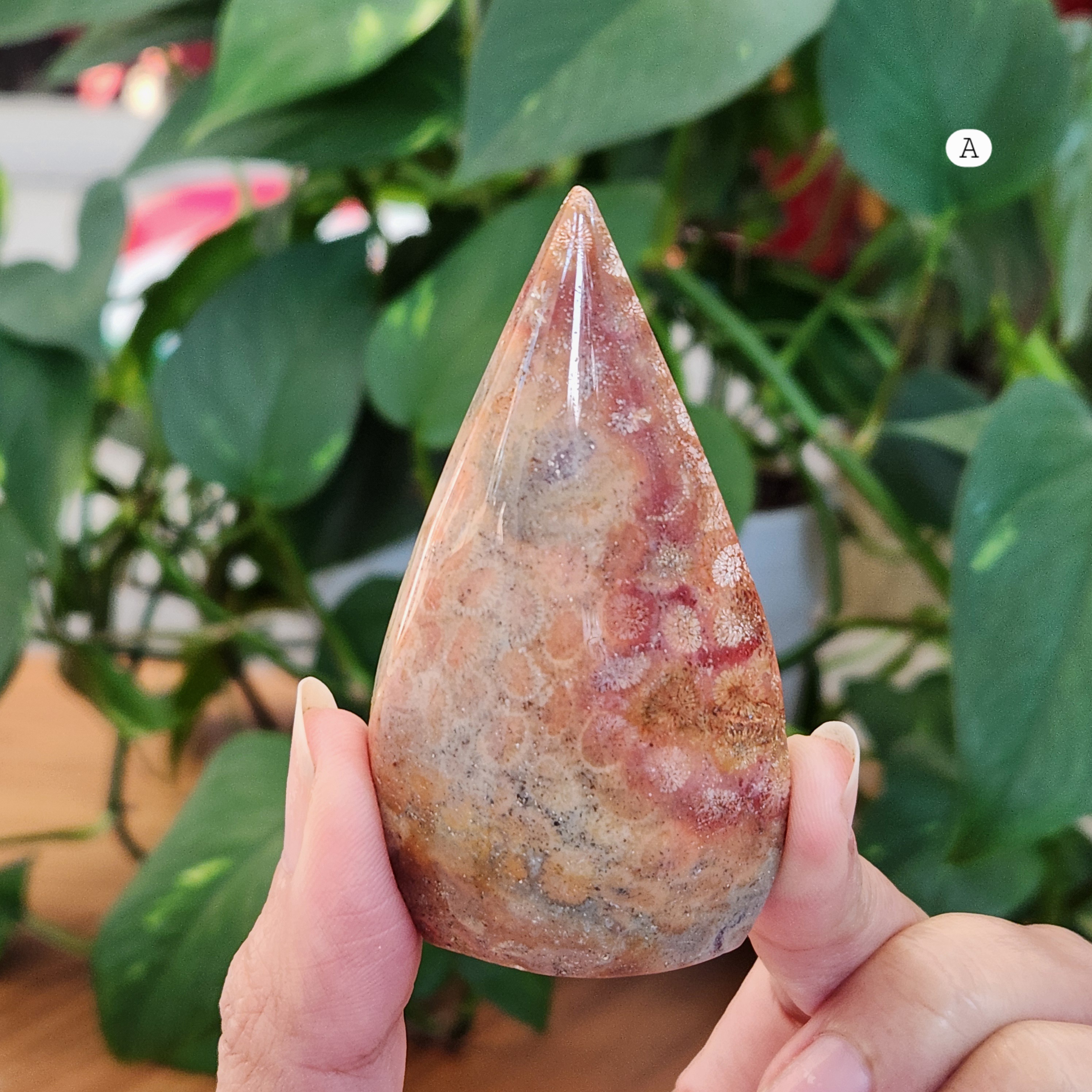 Coral Jade Flame • Fossilized Coral Jade Freeform Flame • Coralized Jade Flame 