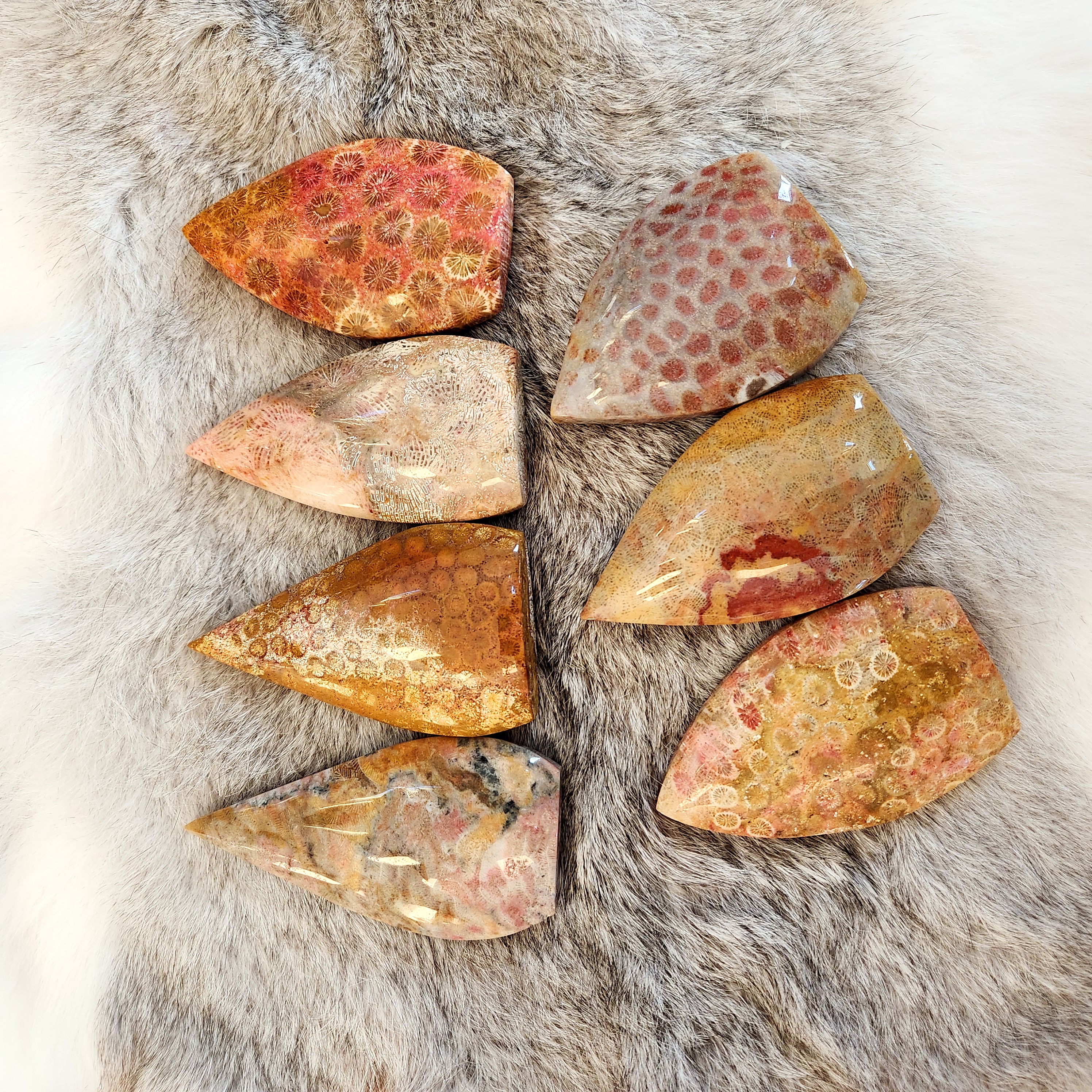 Coral Jade Flame • Fossilized Coral Jade Freeform Flame • Coralized Jade Flame 