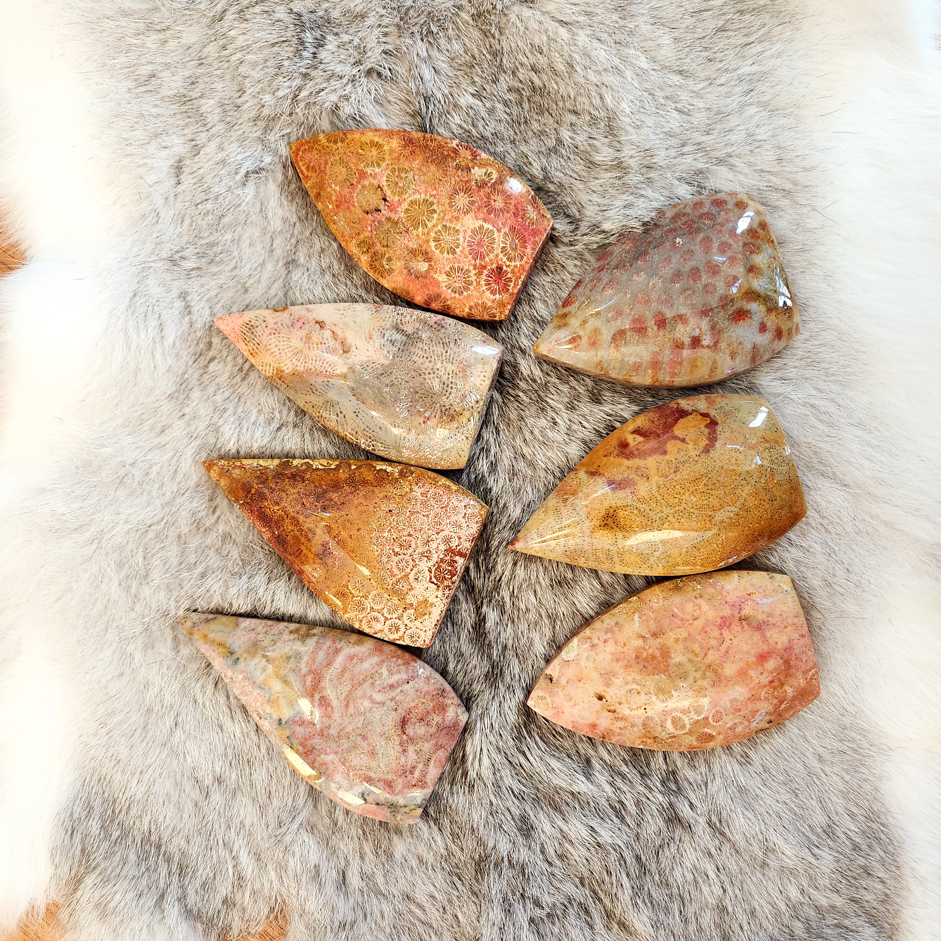 Coral Jade Flame • Fossilized Coral Jade Freeform Flame • Coralized Jade Flame 