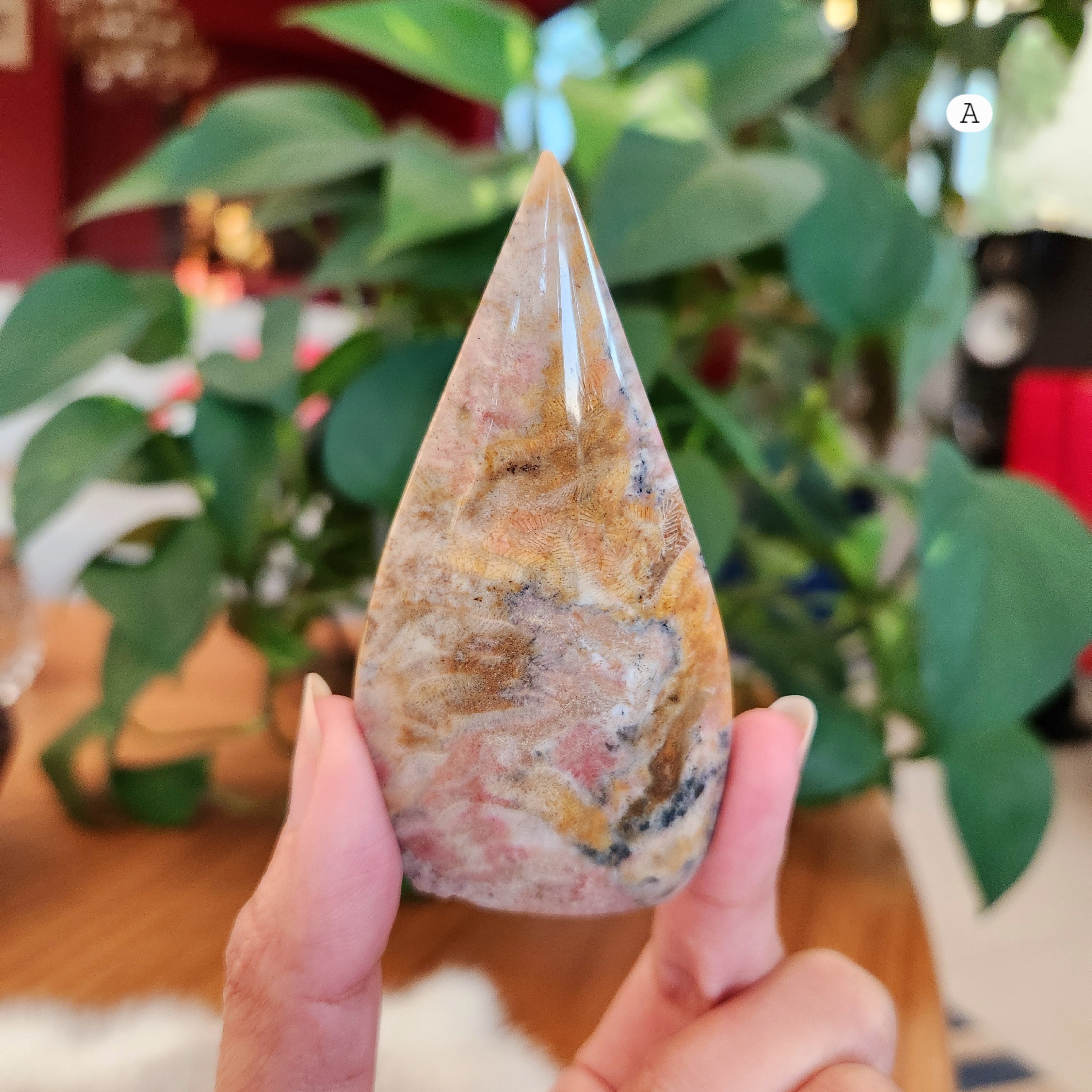 Coral Jade Flame • Fossilized Coral Jade Freeform Flame • Coralized Jade Flame 