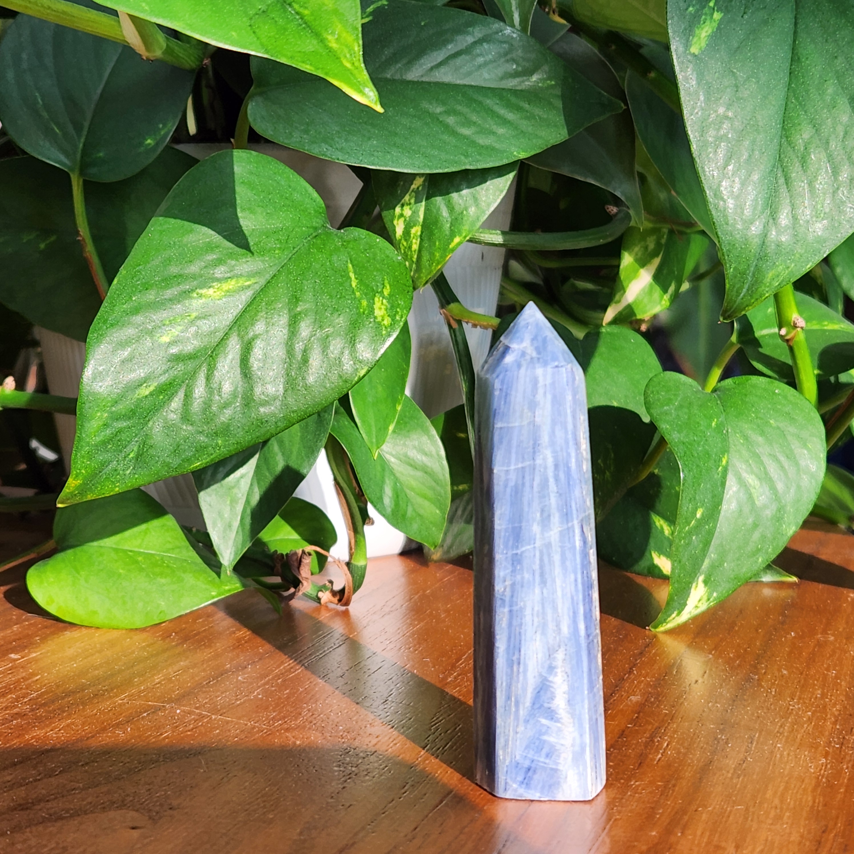 Blue Kyanite Point • 3.4" Polished Kyanite Crystal Point • 