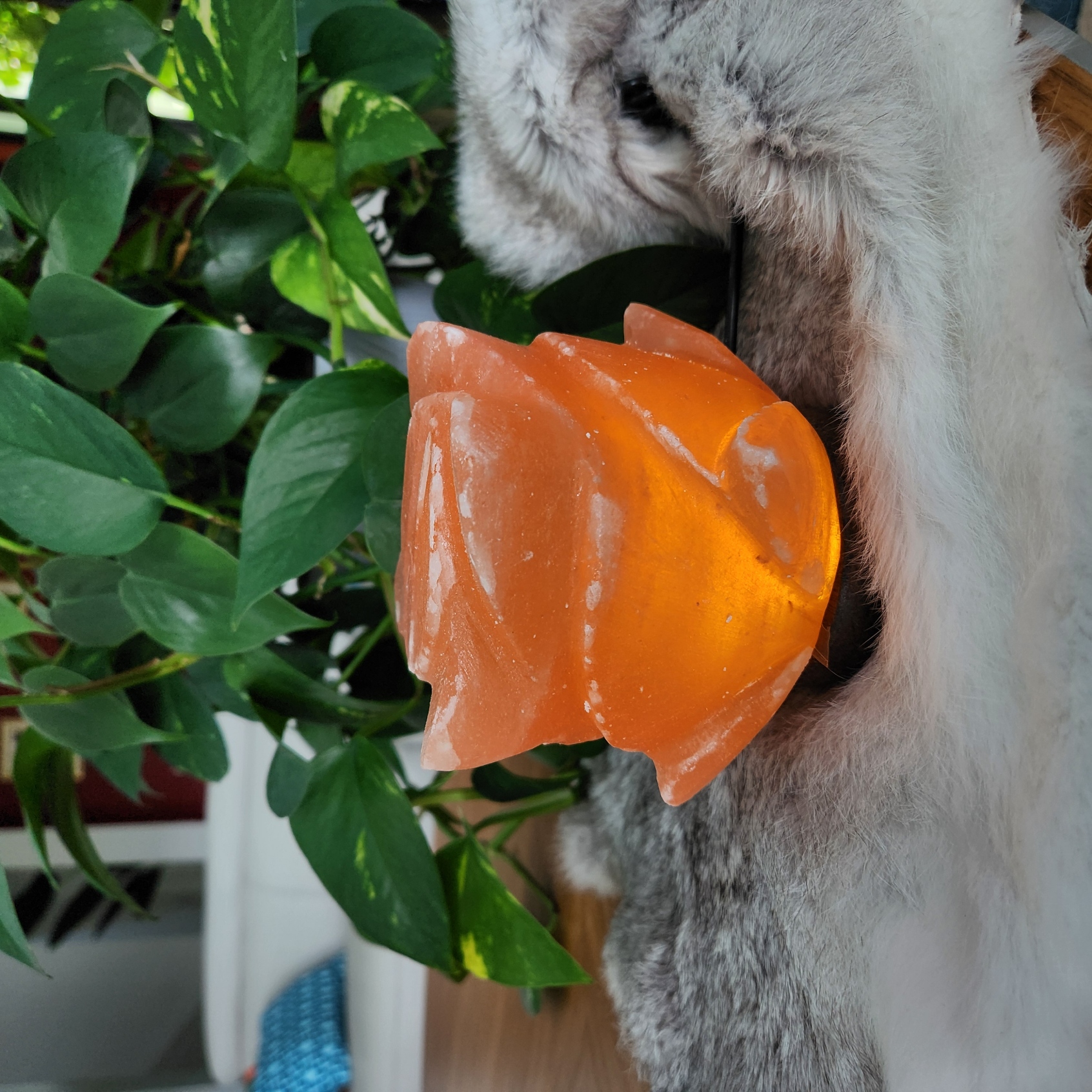 Salt Lamp • Himalayan Rose flower shape lamp • Flower night light - Healing Crystal Gift Home decoration