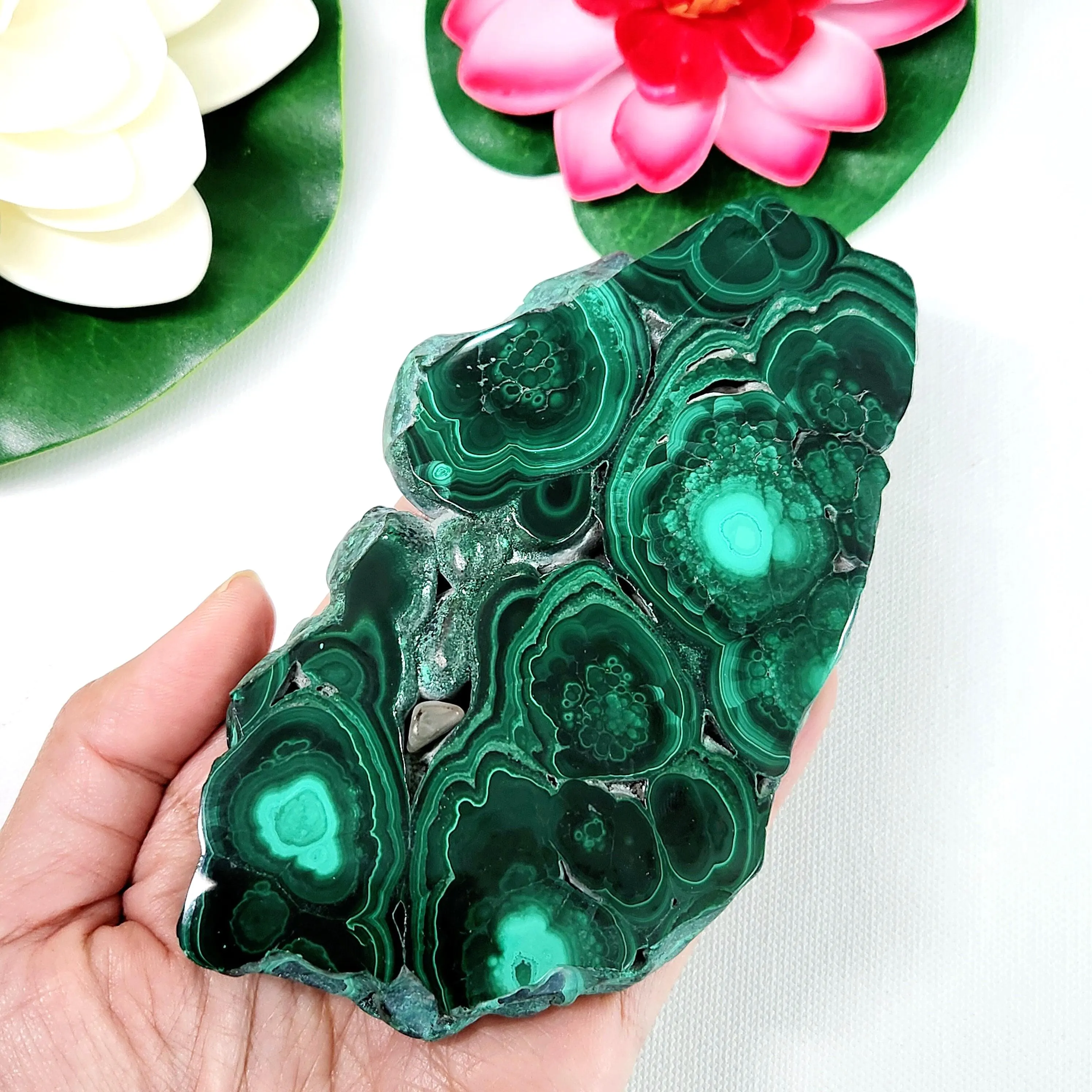 Malachite crystal with eyes on both sides • 5.5" Malachite Slice Freeform Slab • 