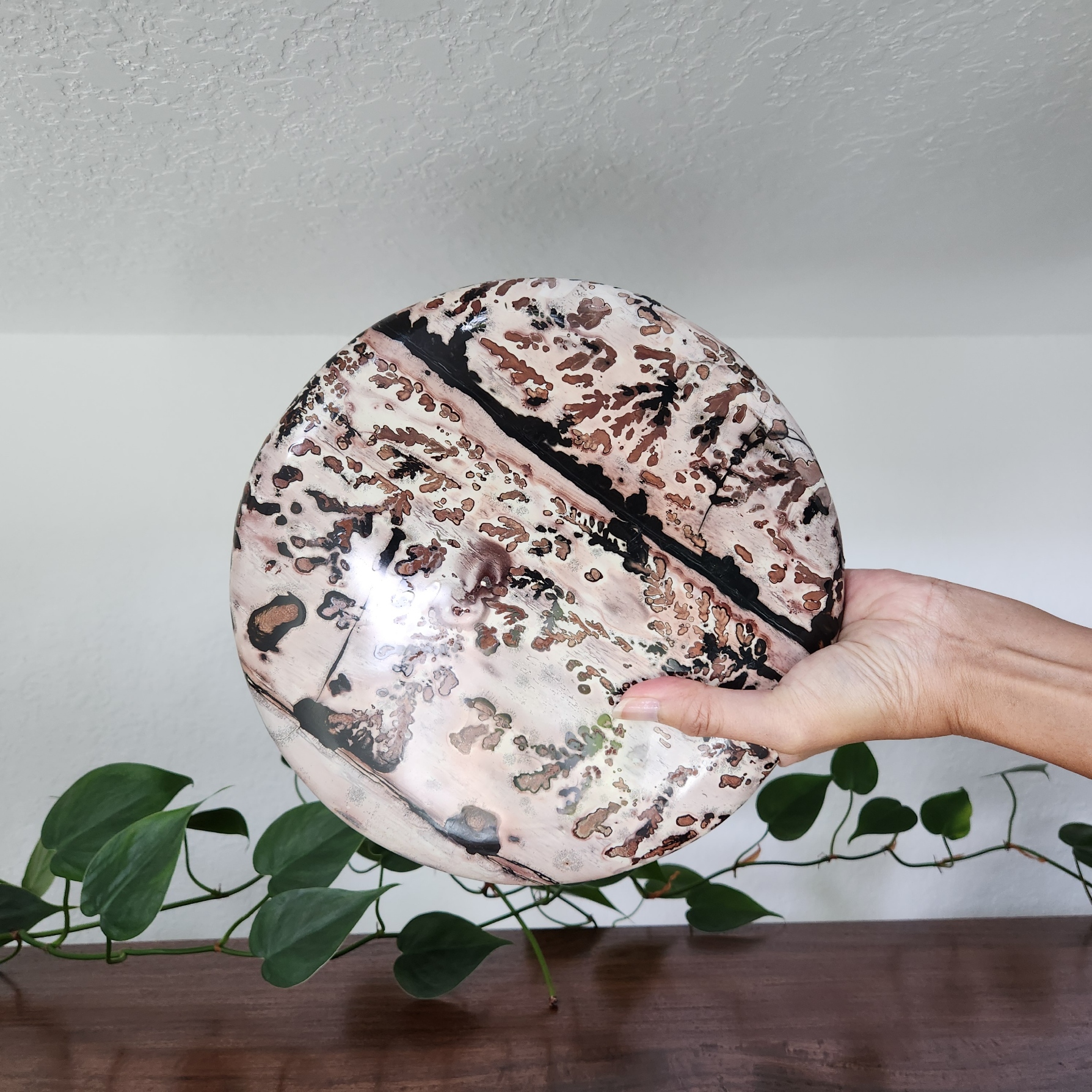 Picture Jasper • XXL Round Disc 9.25" Picture Jasper display • Crystal  gift Home Decoration - stand included