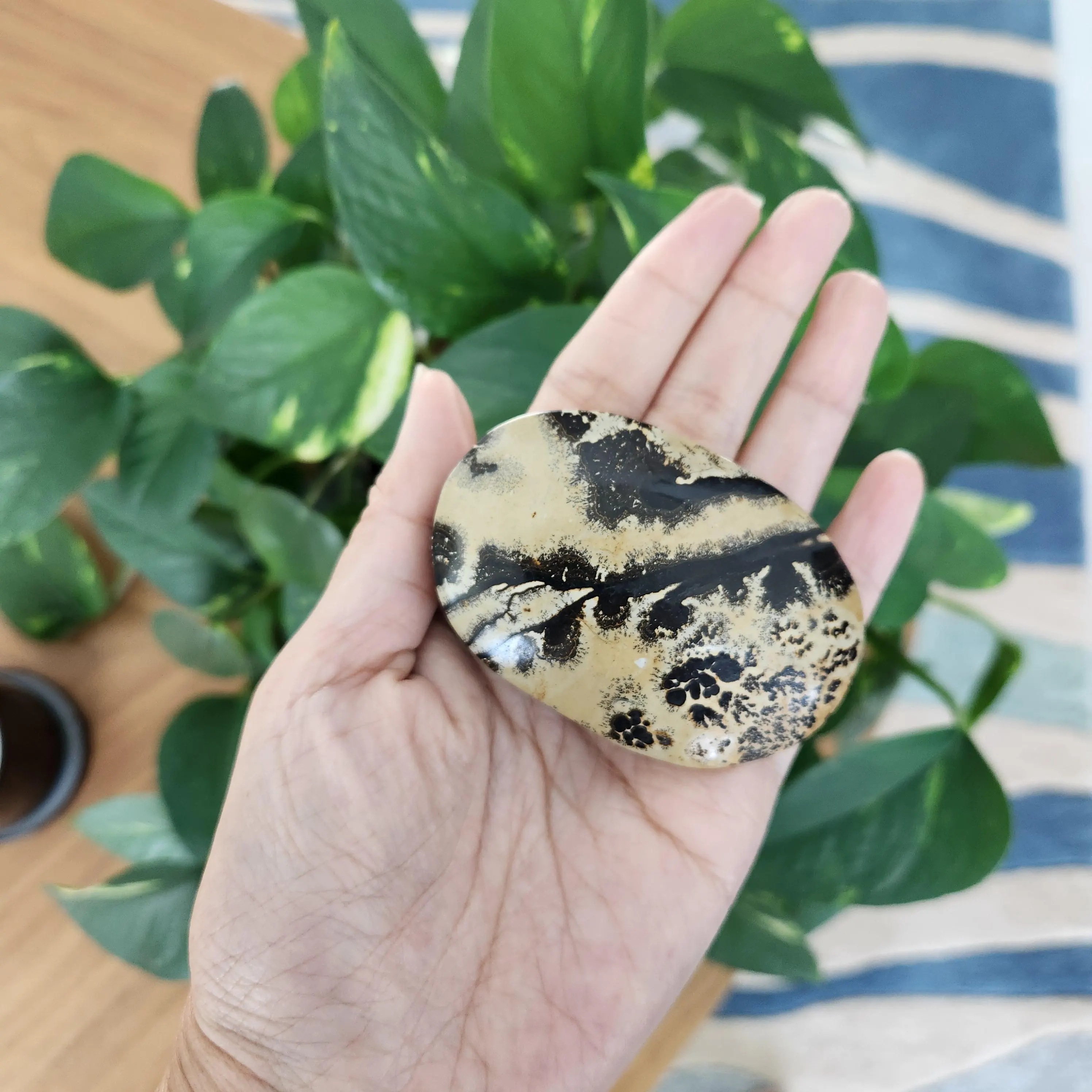 Picture Jasper Palm • 2.8" Picture stone palmstone • Crystal palm stone gift healing reiki home decor