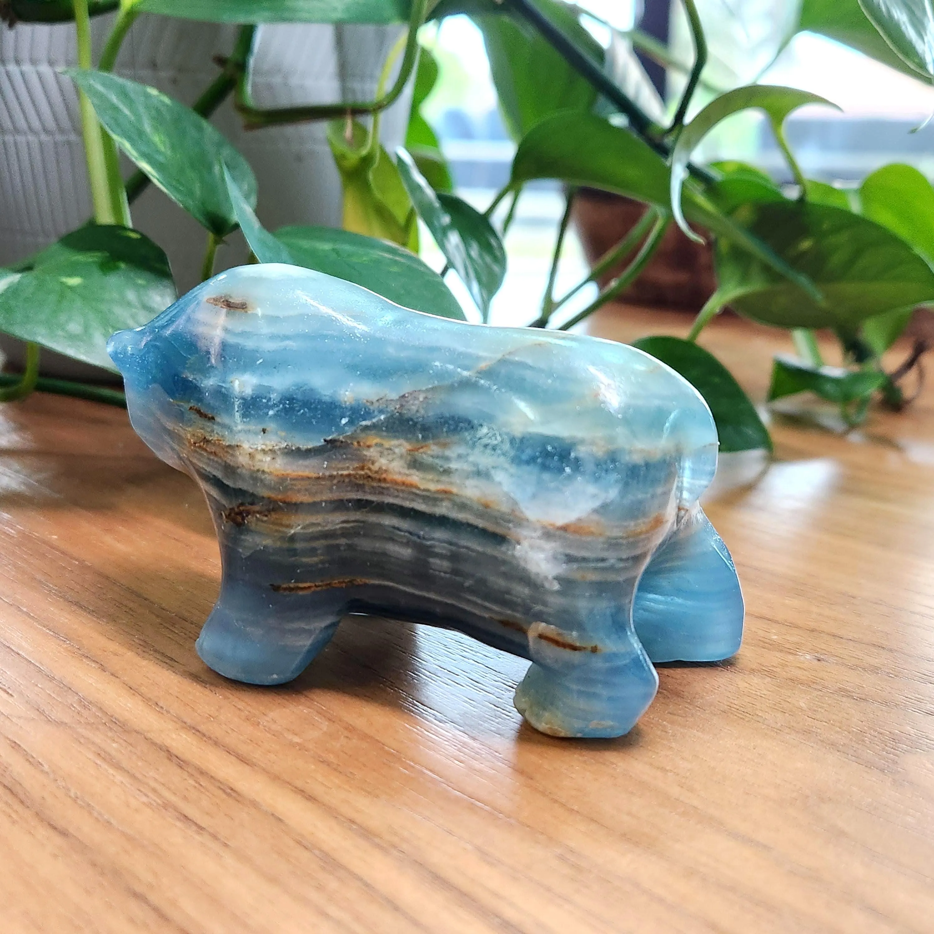 Blue Onyx Bear - 2.4" Blue Lemurian Aquatine Calcite Bear •  Crystal Home Decor Gift