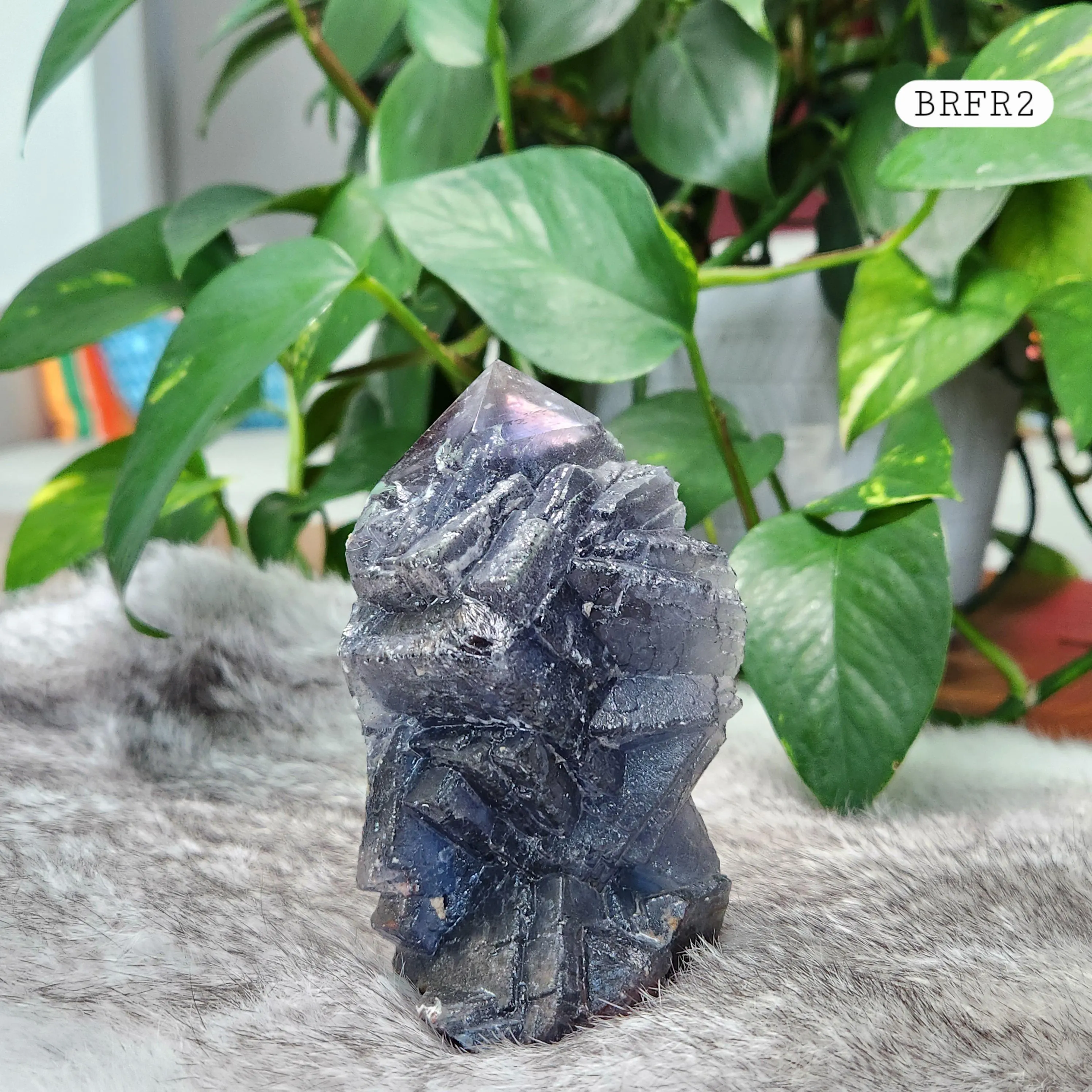 Black Rose Fluorite Point - 4" Black Rose Fluorite crystal point 
