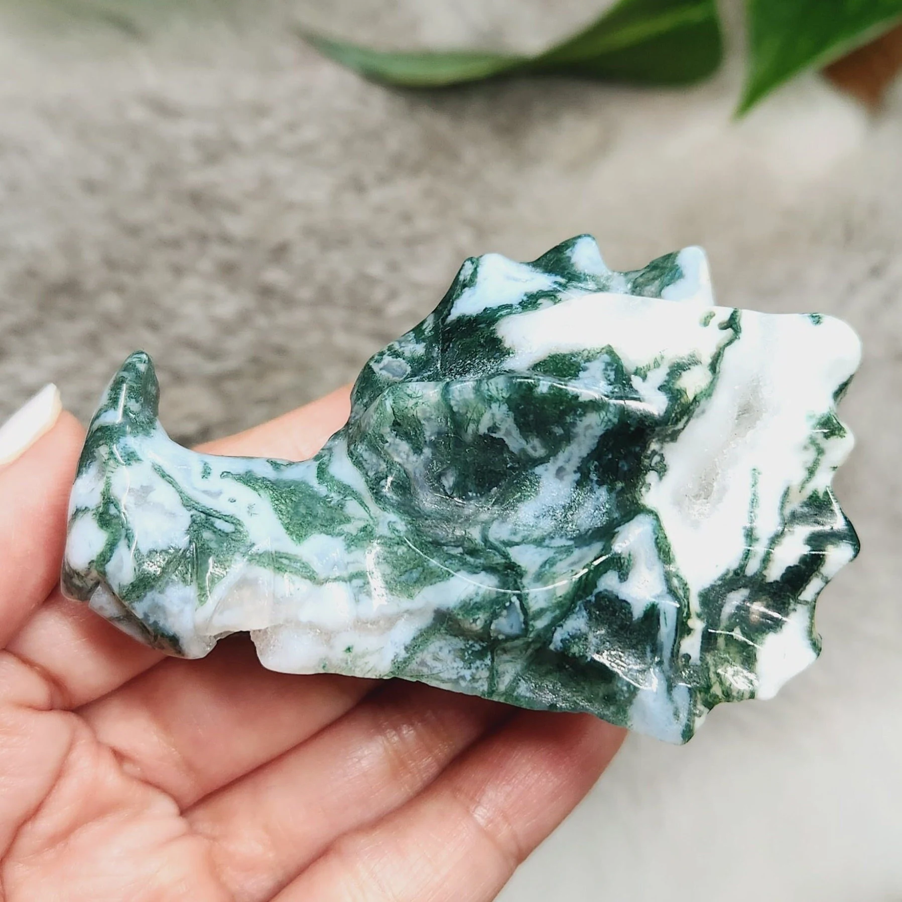 Moss Agate Dragon Head, 3" Moss Agate Dragon Skull Head, Blue Green Sea Moss Dragonhead  