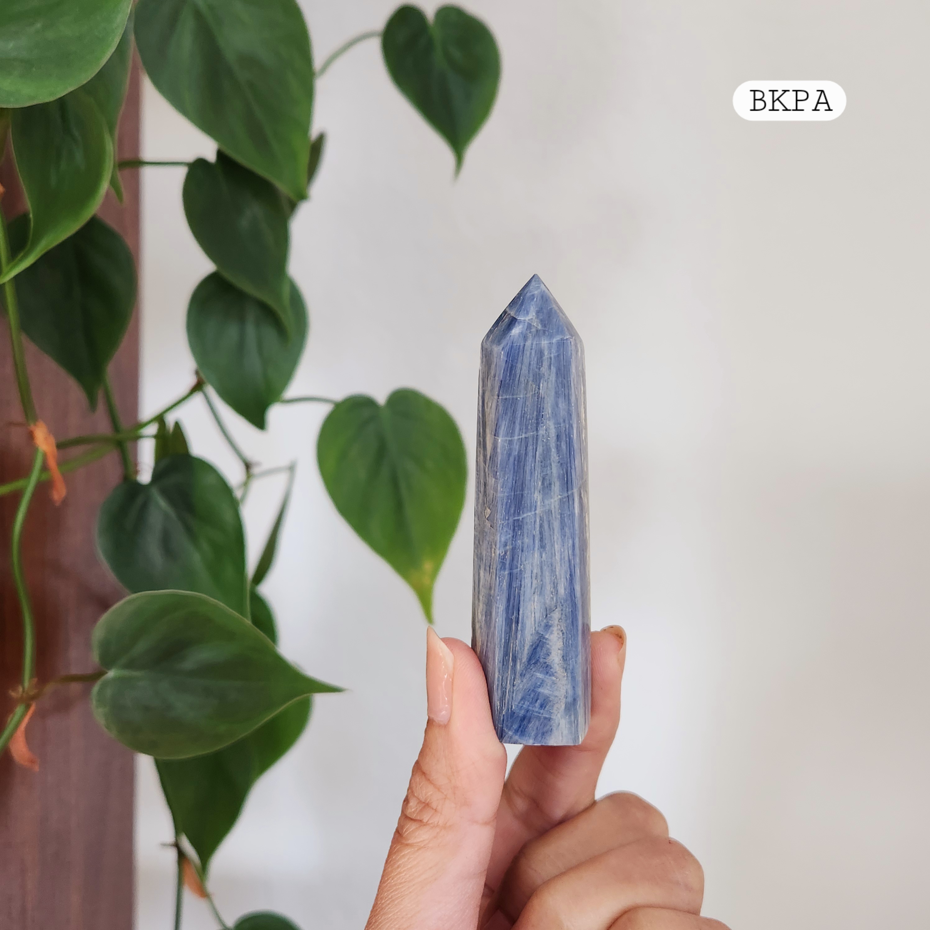 Blue Kyanite Point • 3.4" Polished Kyanite Crystal Point •