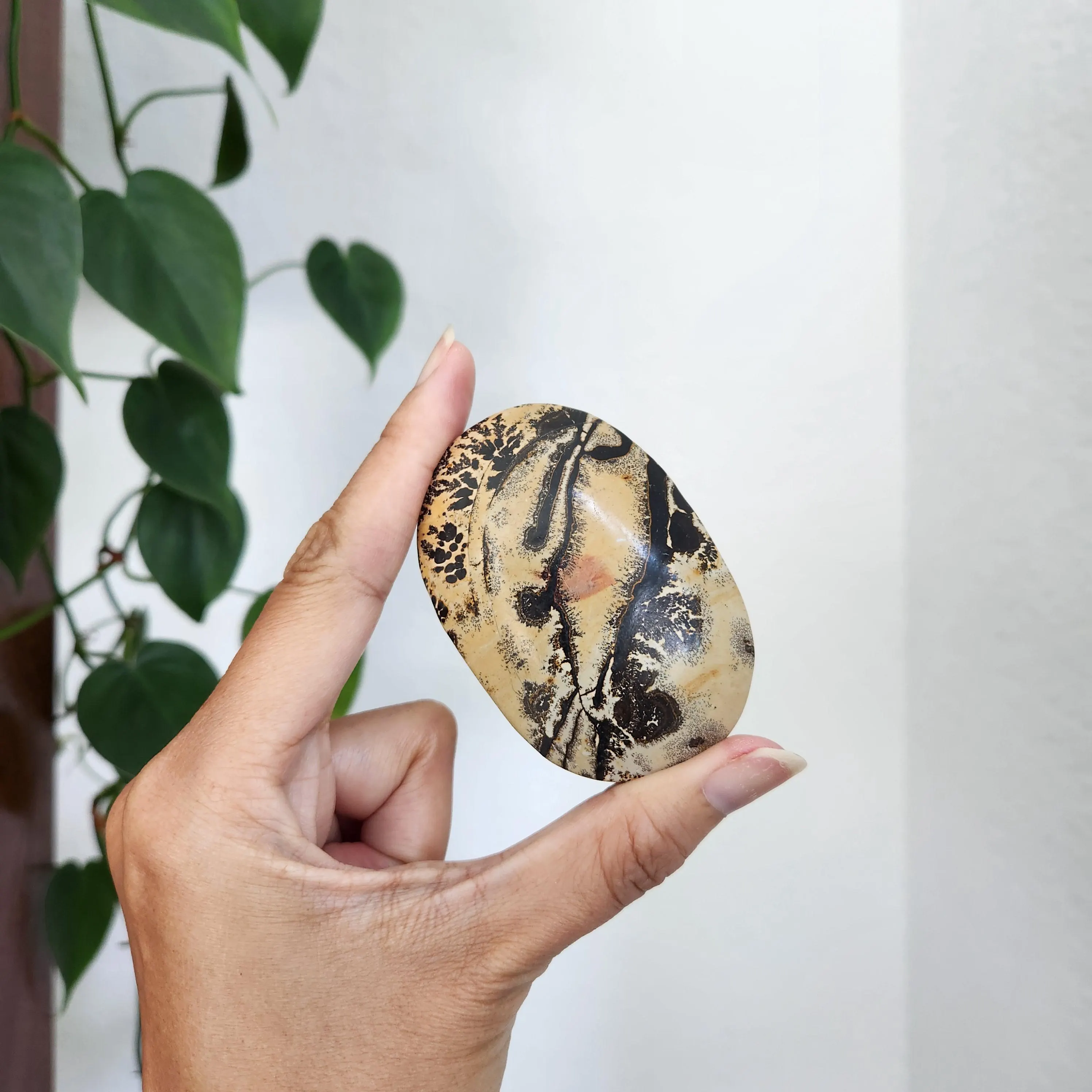 Picture Jasper Palm • 2.8" Picture stone palmstone • Crystal palm stone gift healing reiki home decor