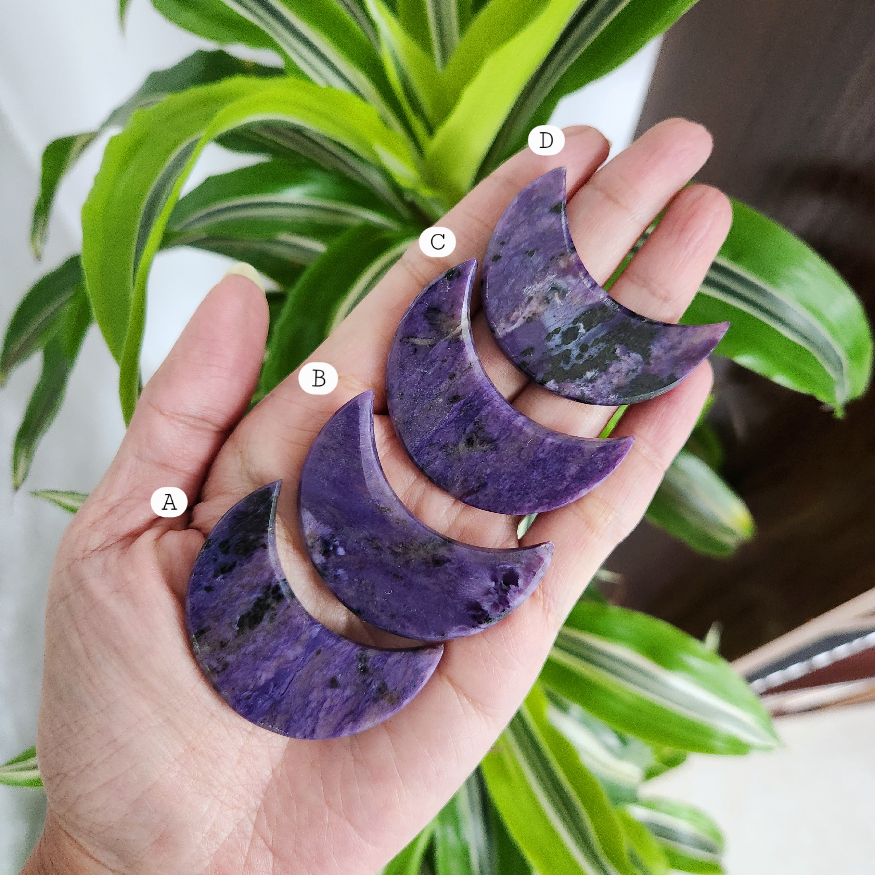 Charoite Moon • 1.9" Charoite crystal crescent moon • Crystal moon carving • Purple Charoite Moon
