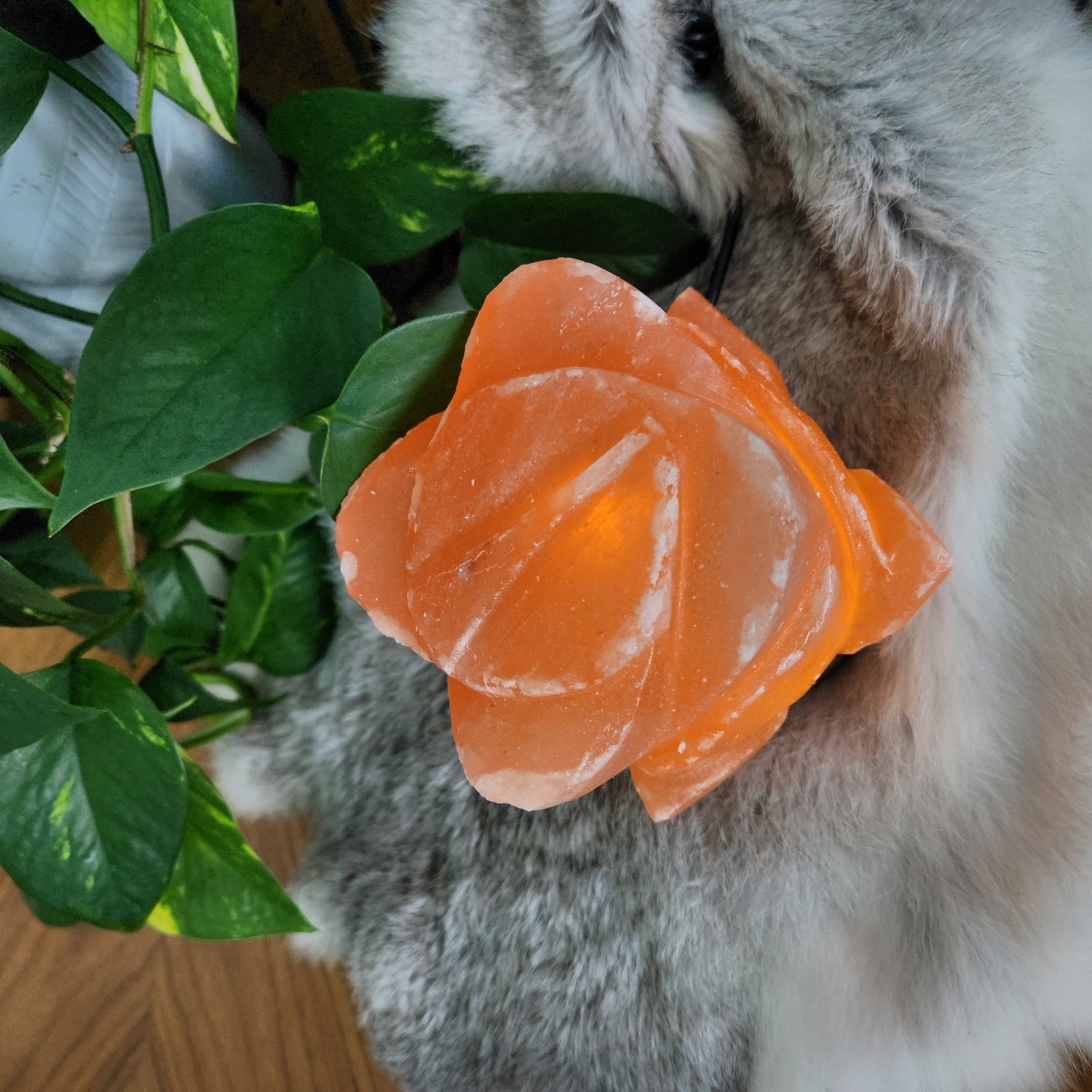 Salt Lamp • Himalayan Rose flower shape lamp • Flower night light - Healing Crystal Gift Home decoration