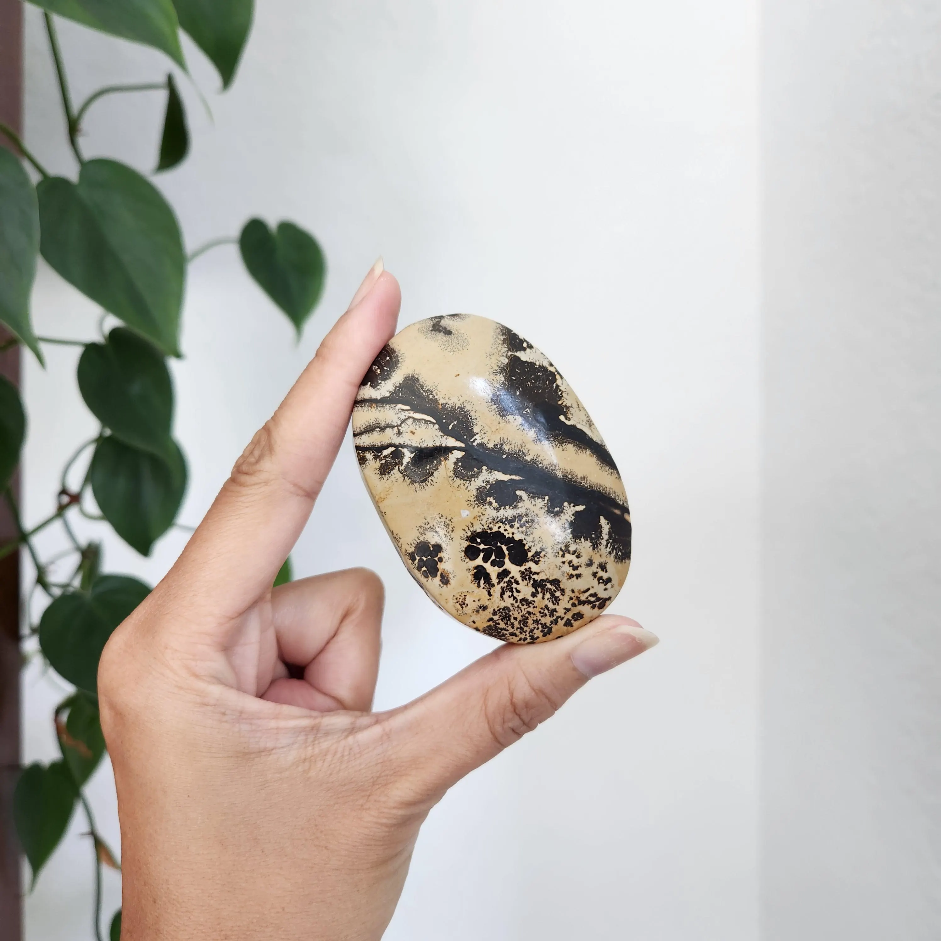 Picture Jasper Palm • 2.8" Picture stone palmstone • Crystal palm stone gift healing reiki home decor