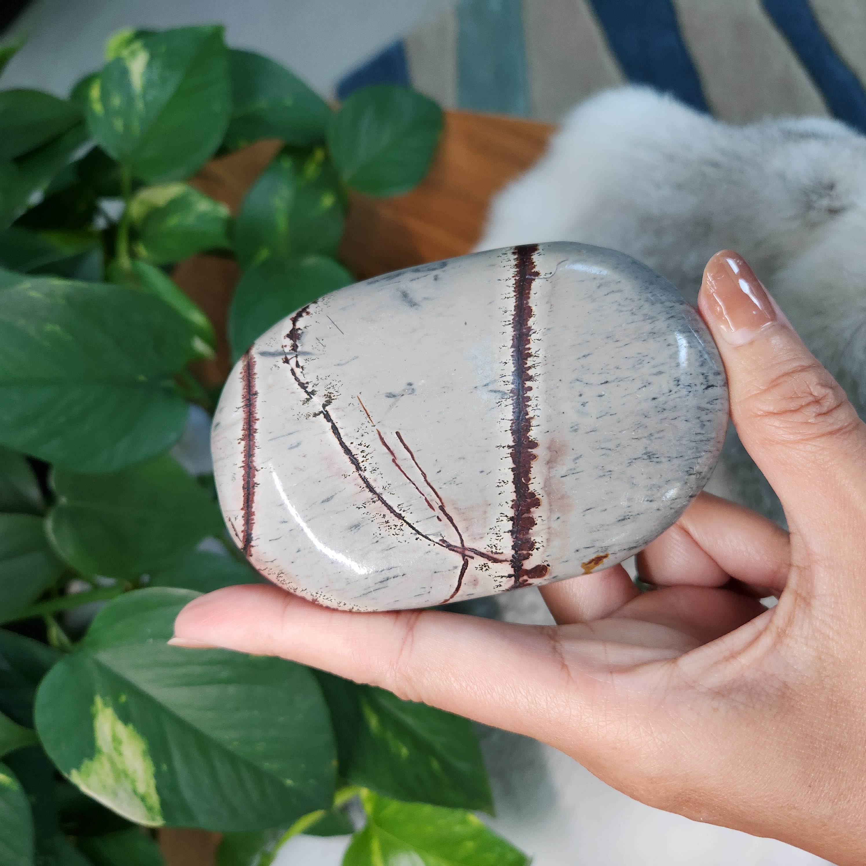 Picture Jasper Palm • Large 3.9" Picture Jasper palmstone • Crystal palm stone gift healing reiki home decoration