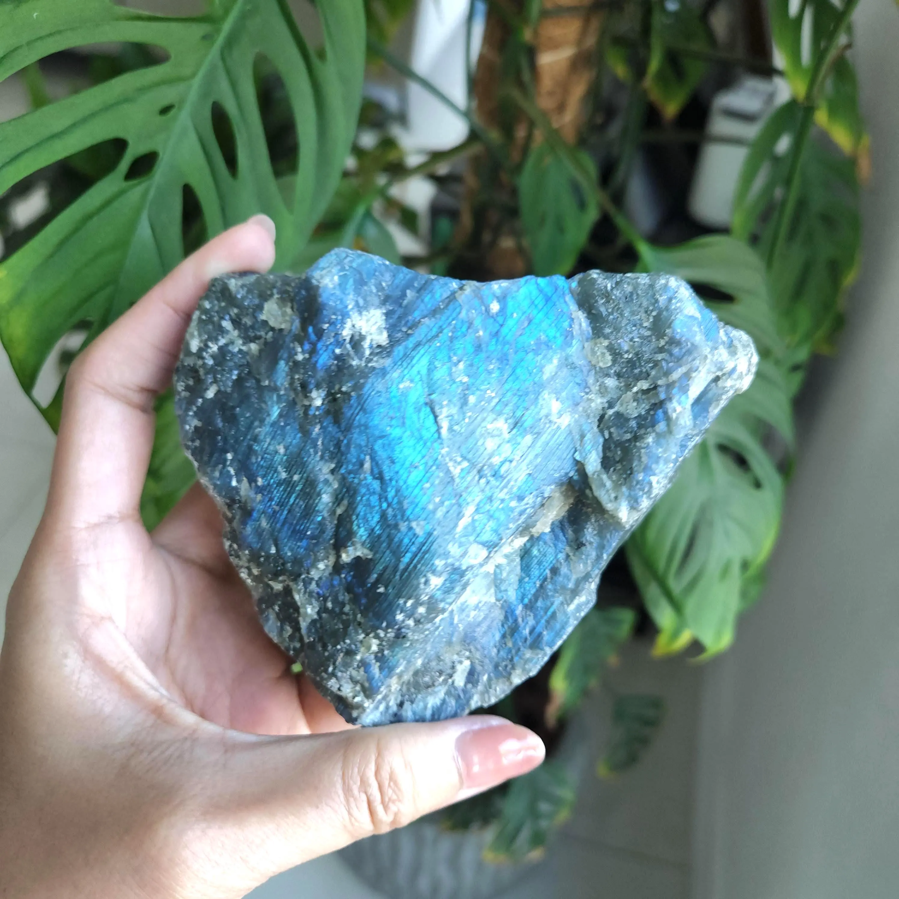 Labradorite crystal Freeform • 4.2" Raw rough Labradorite mineral • Labradorite free form specimen 