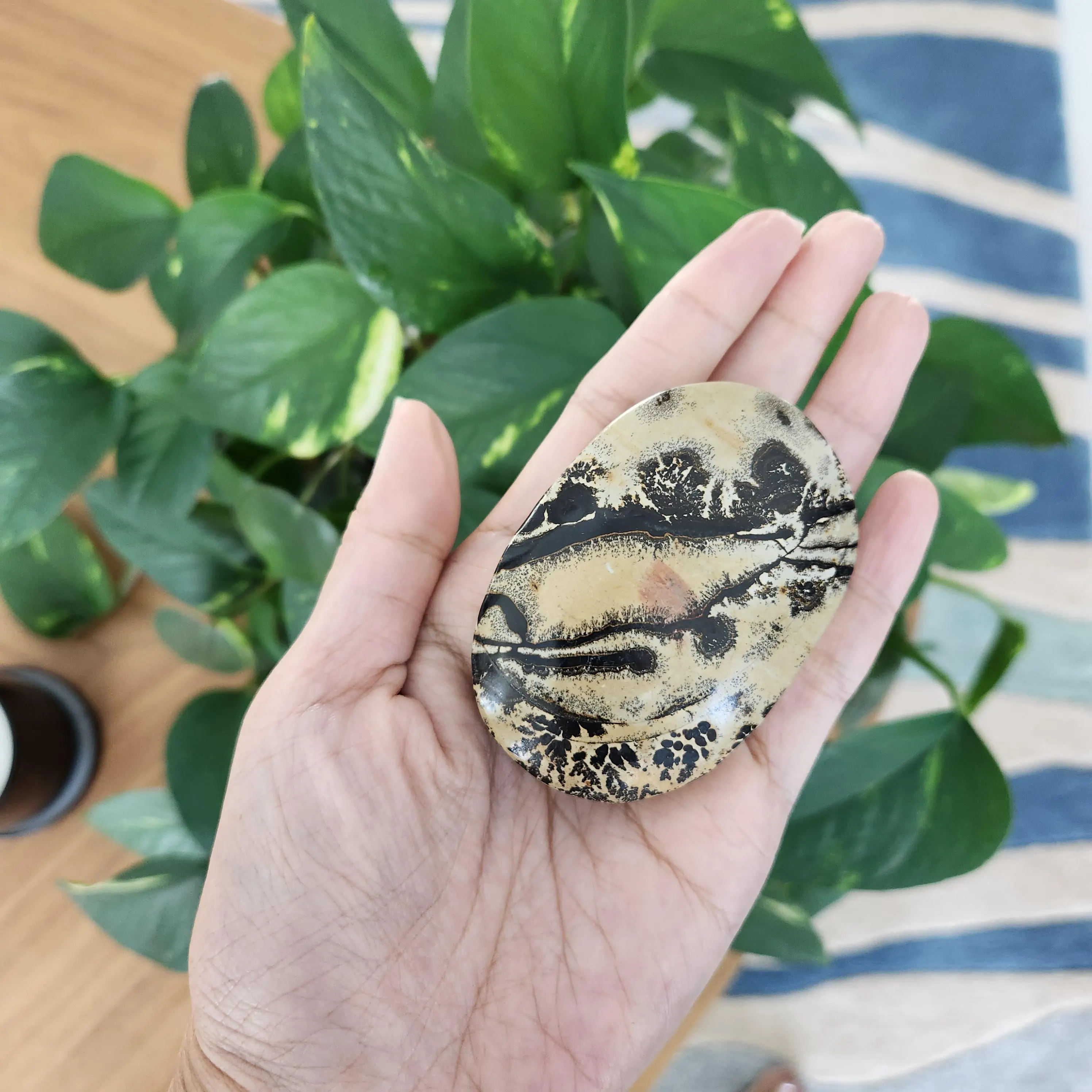 Picture Jasper Palm • 2.8" Picture stone palmstone • Crystal palm stone gift healing reiki home decor