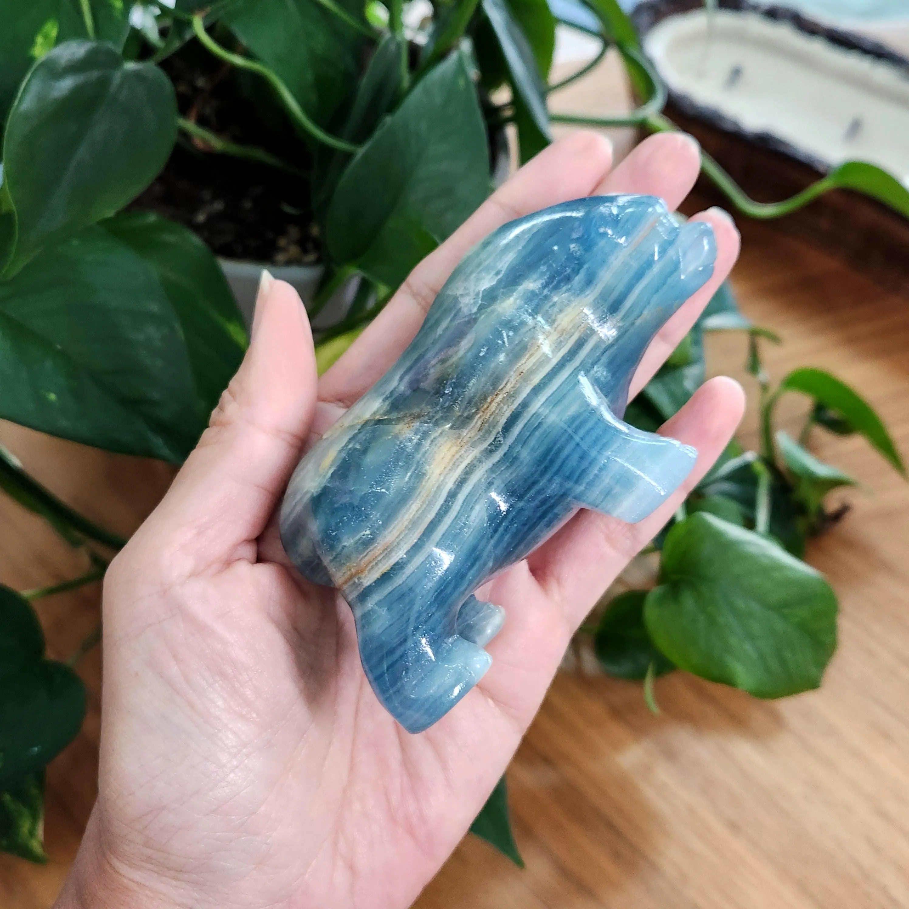Blue Onyx Bear - 2.4" Blue Lemurian Aquatine Calcite Bear •  Crystal Home Decor Gift