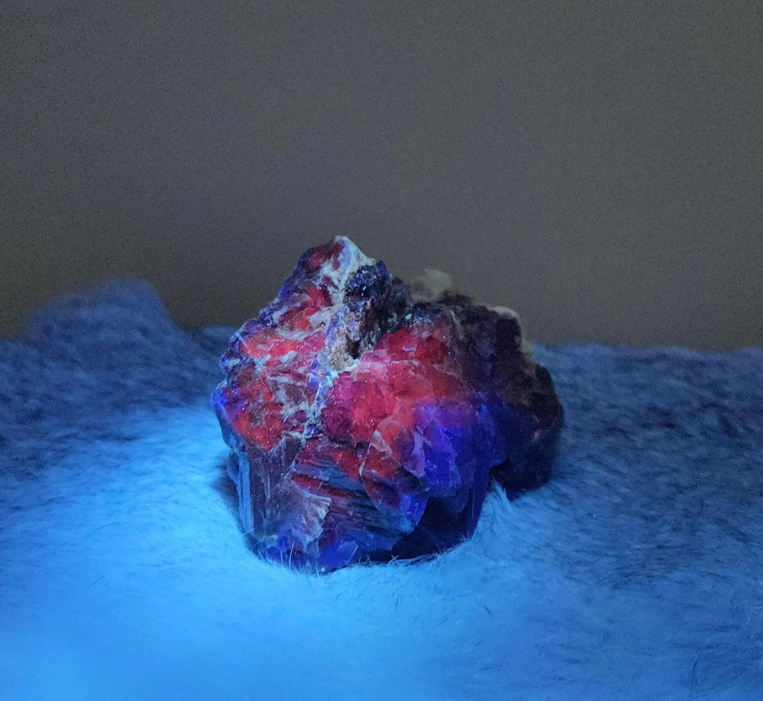 Black Rose Fluorite Cluster Specimen -3.5" strong UV reactive mineral 